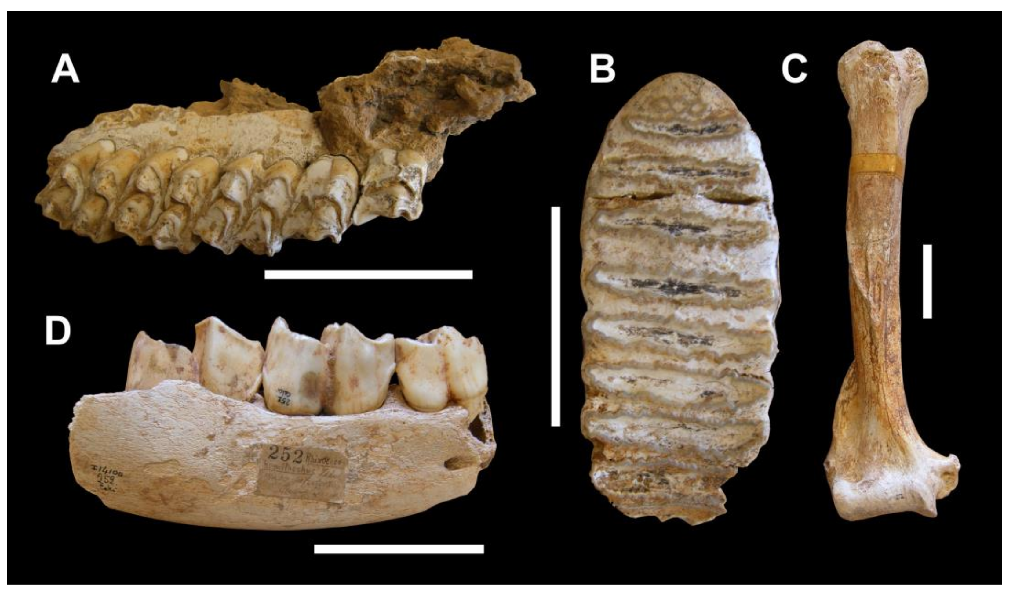 Geosciences 13 00332 g008 Geosciences 13 00332 g008
