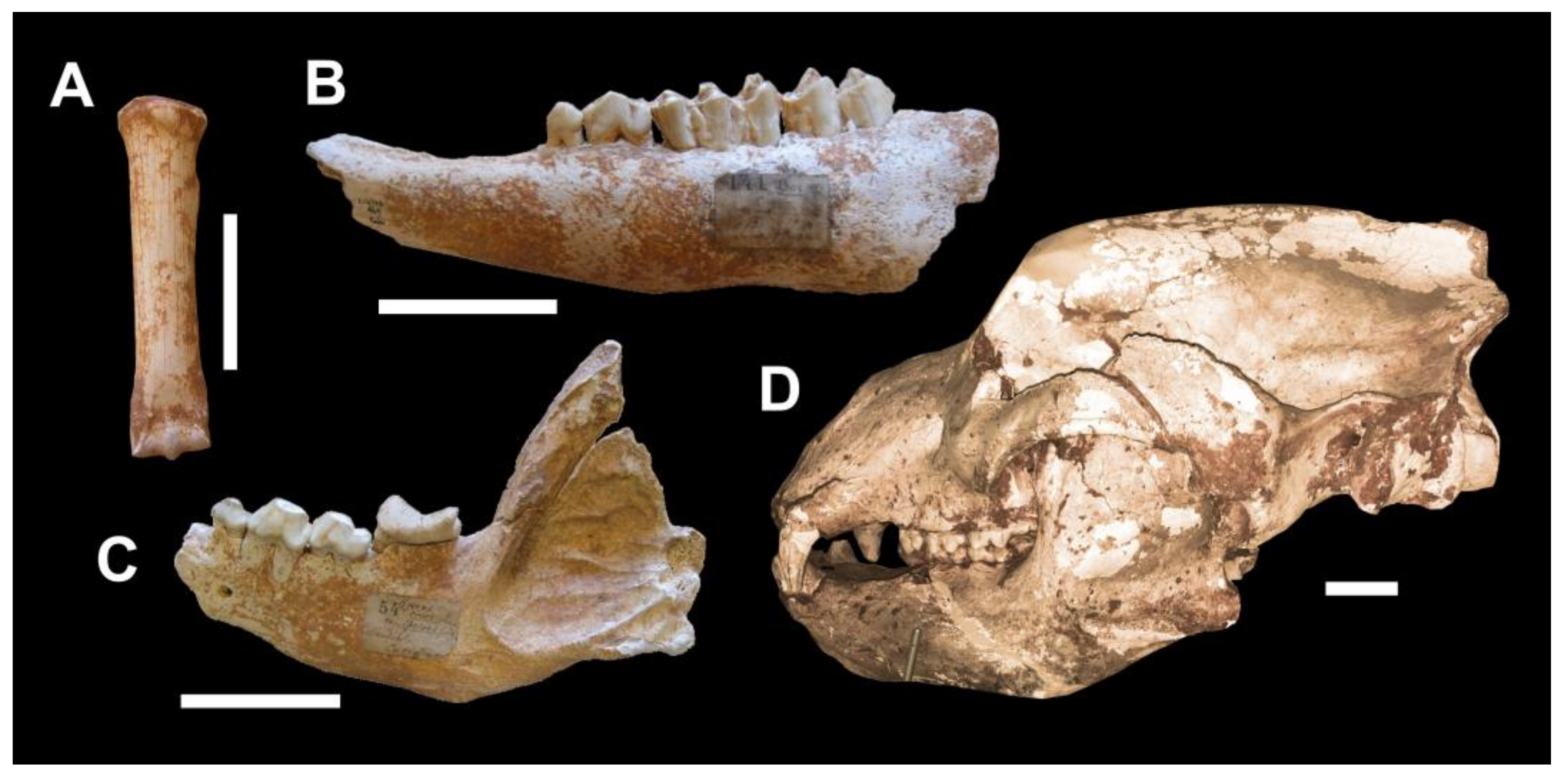 Geosciences 13 00332 g009 Geosciences 13 00332 g009