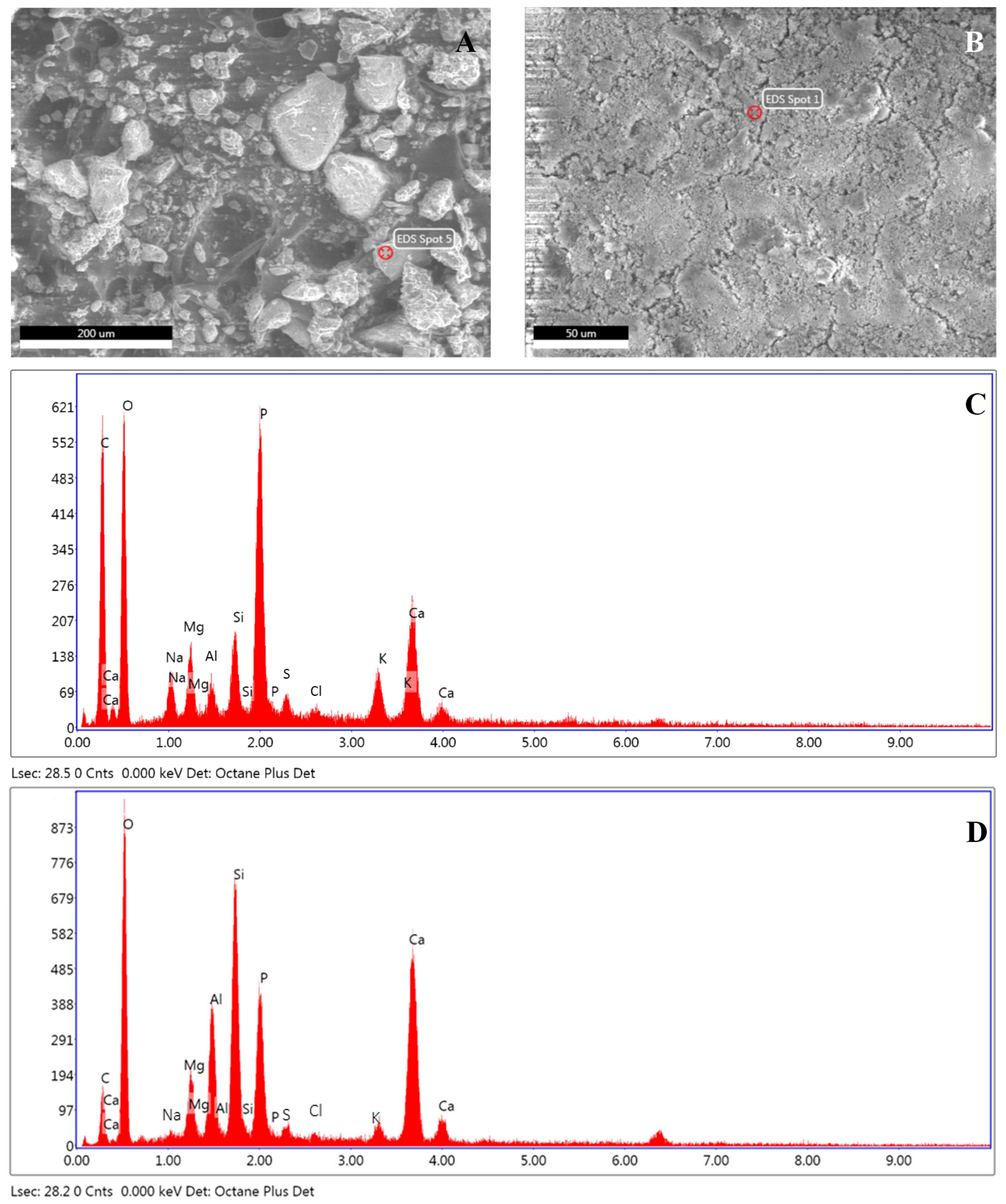 Geosciences 13 00335 g010 Geosciences 13 00335 g010