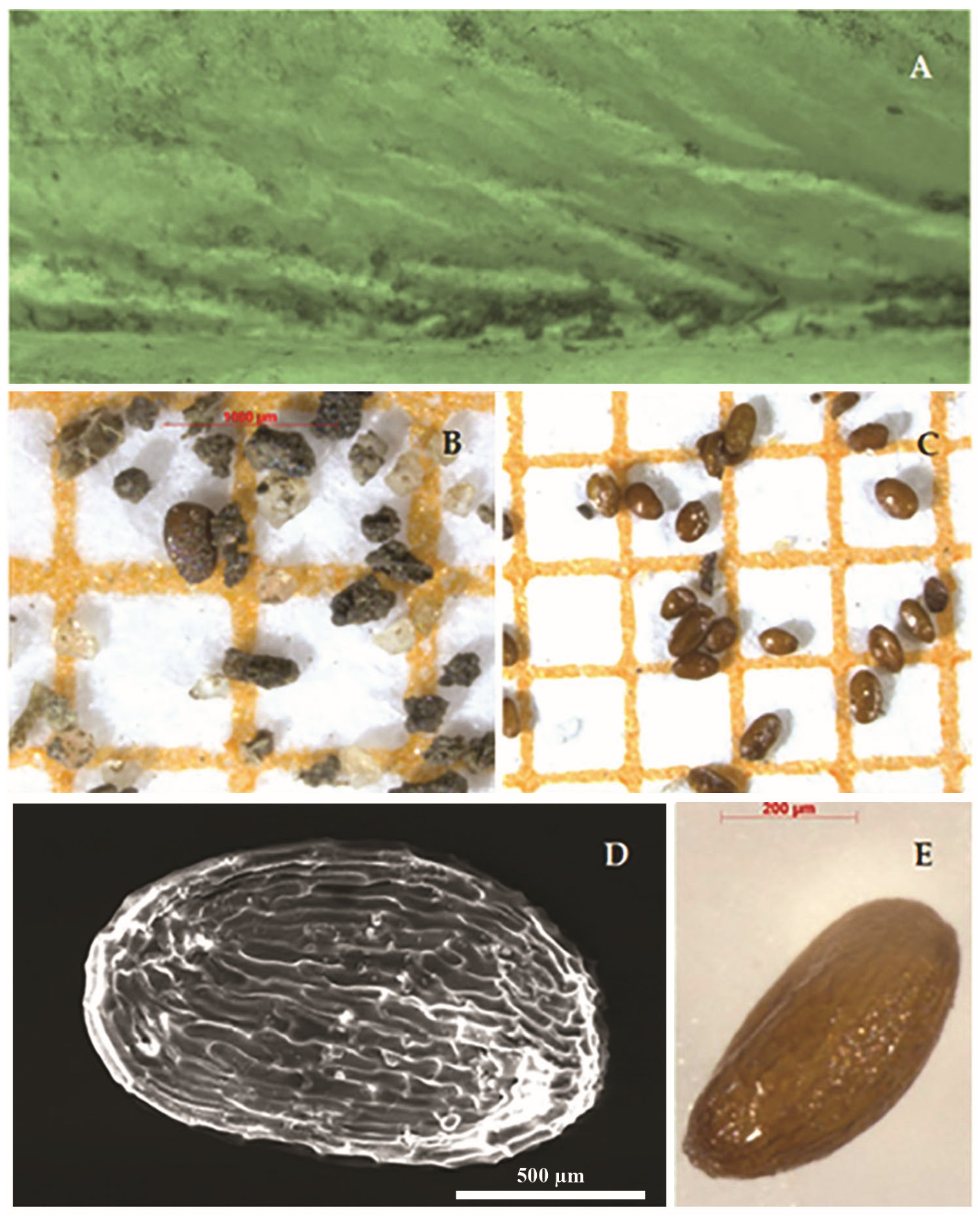 Geosciences 13 00335 g013 Geosciences 13 00335 g013