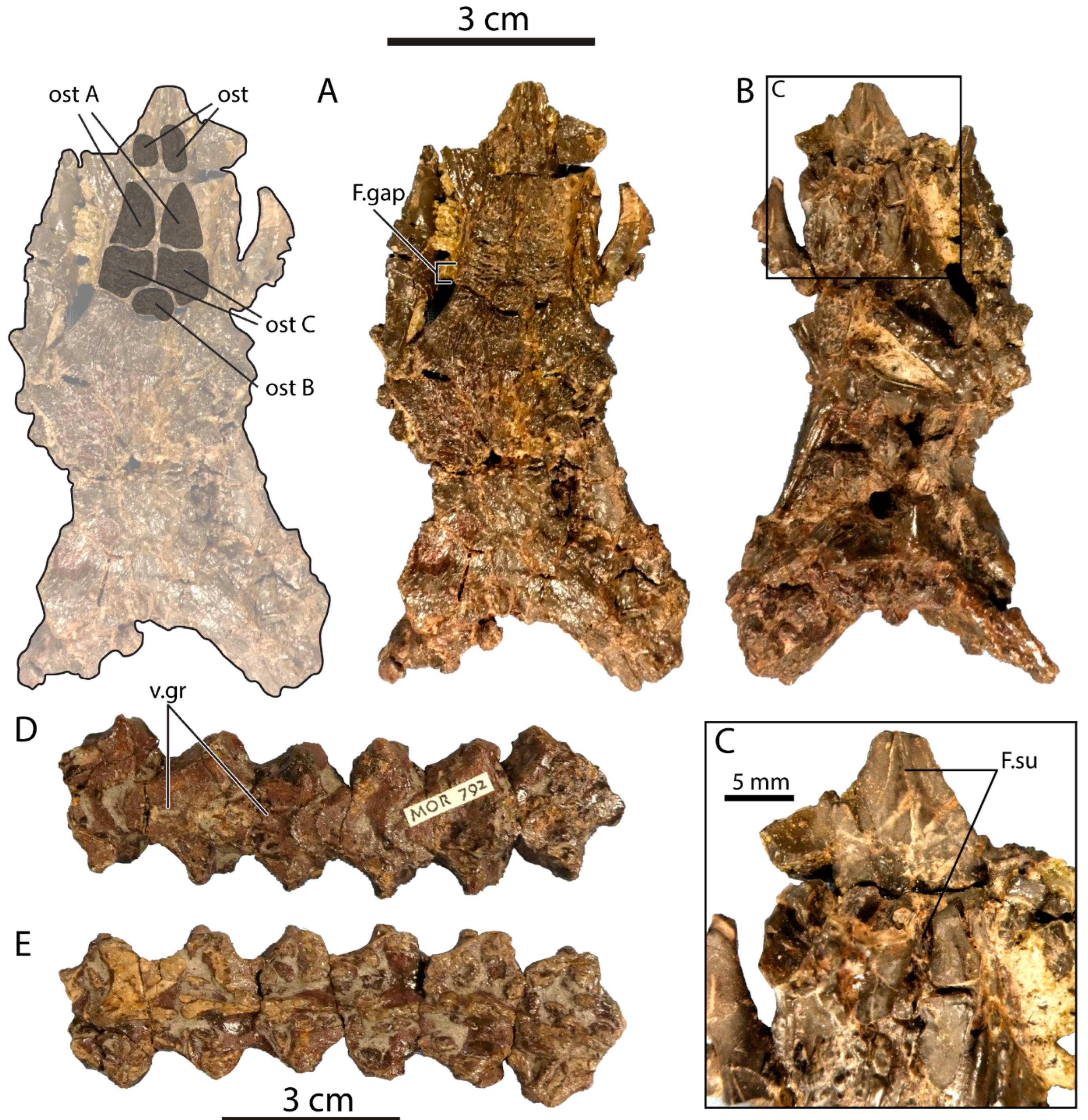 Geosciences 13 00337 g005