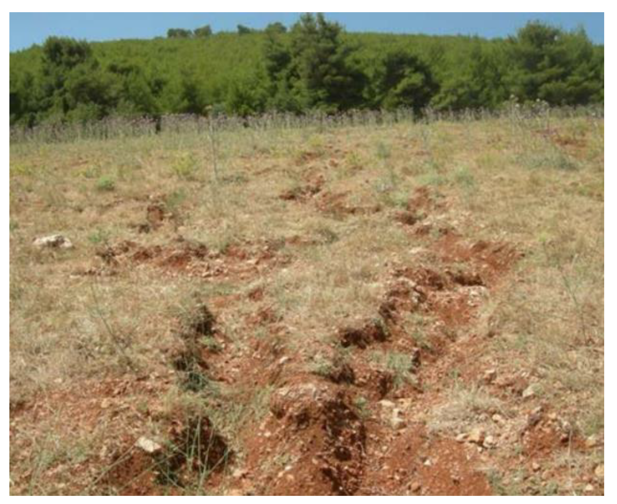 Geosciences 13 00338 g004