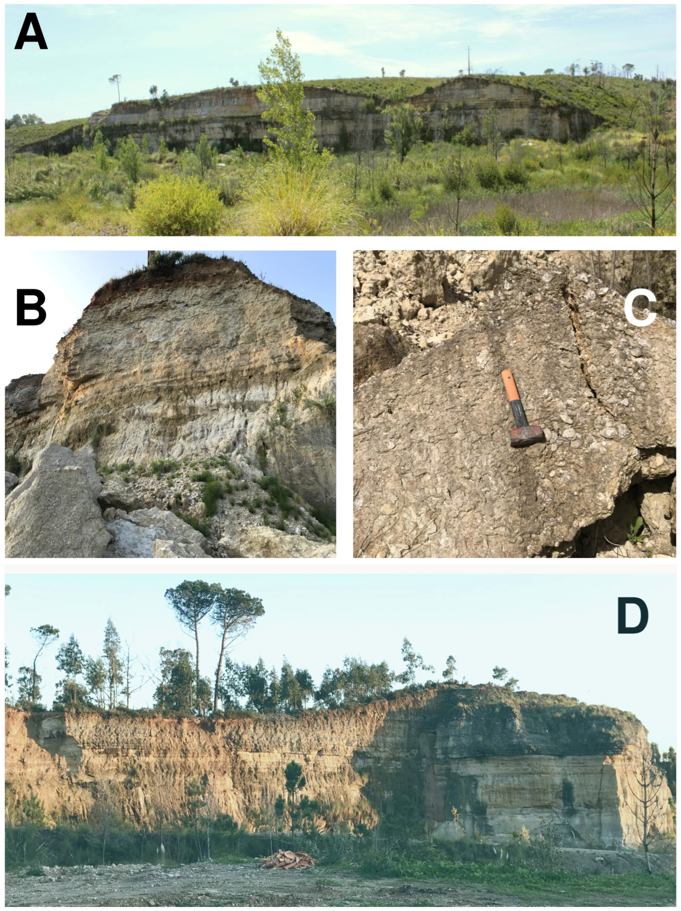 Geosciences 13 00372 g002