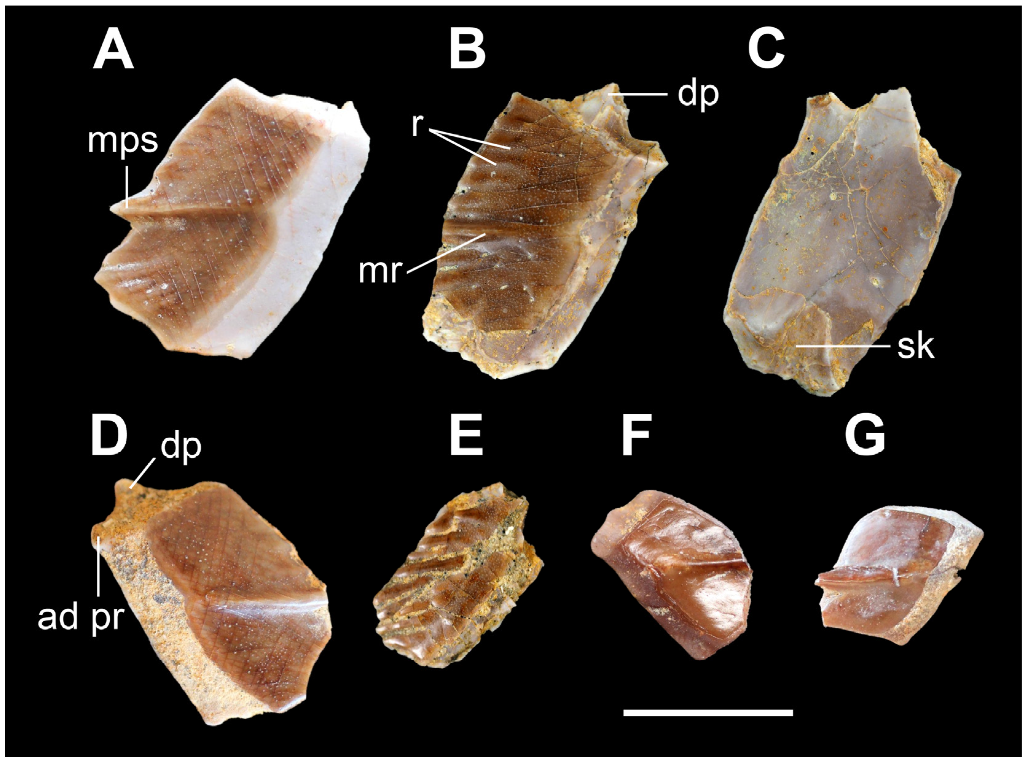 Geosciences 13 00372 g003