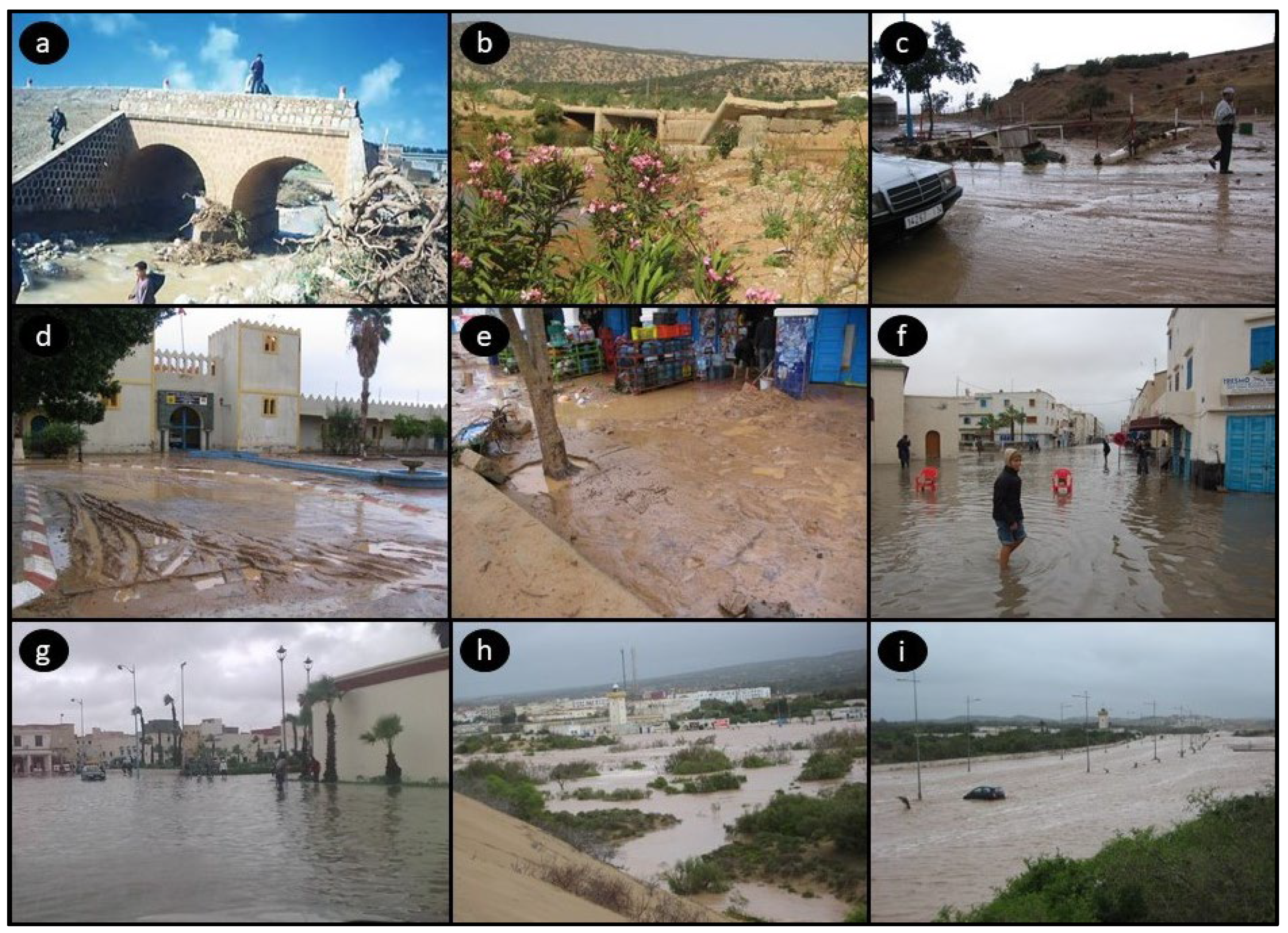 Geosciences 13 00382 g005