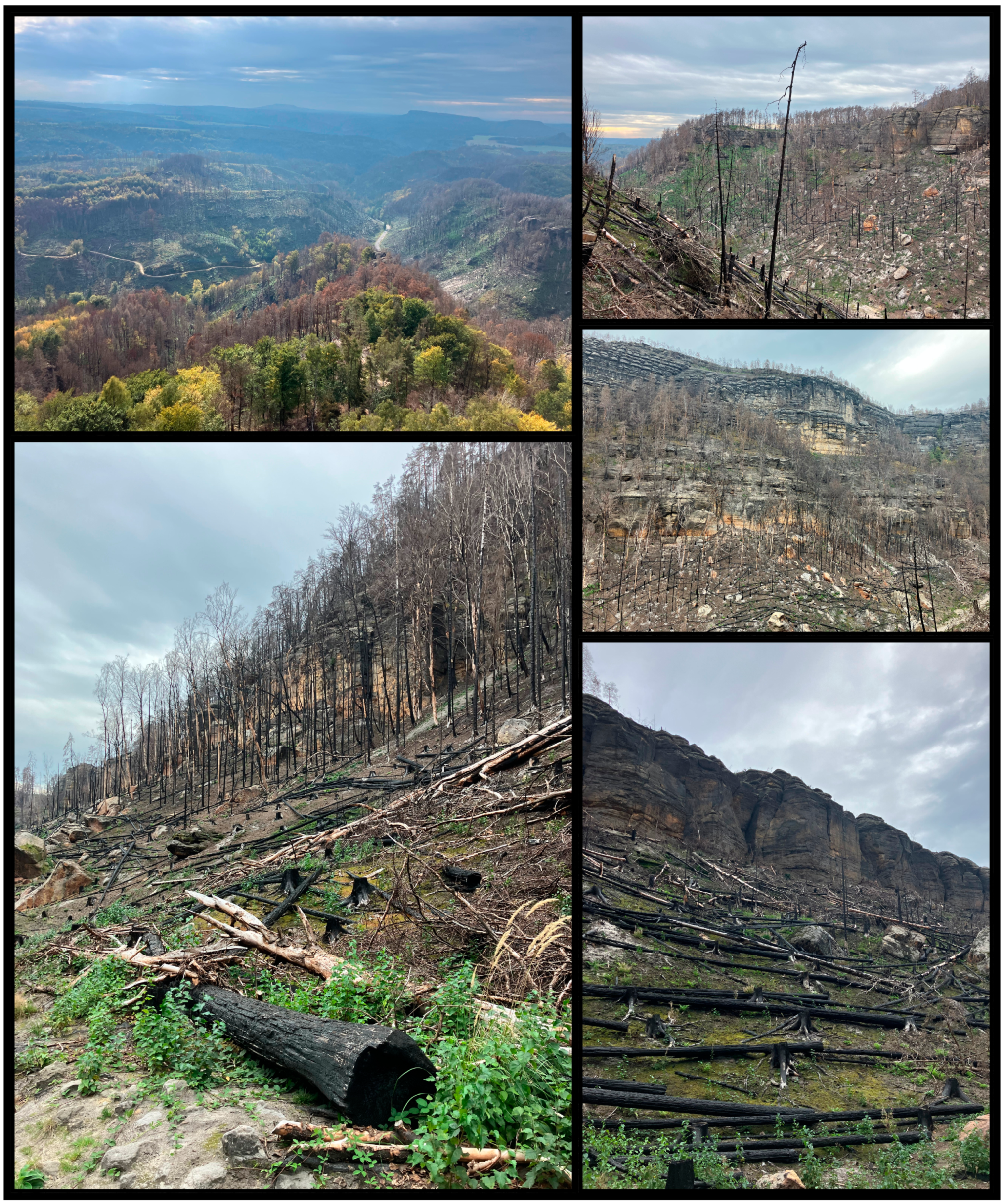 Geosciences 13 00383 g003 Geosciences 13 00383 g003