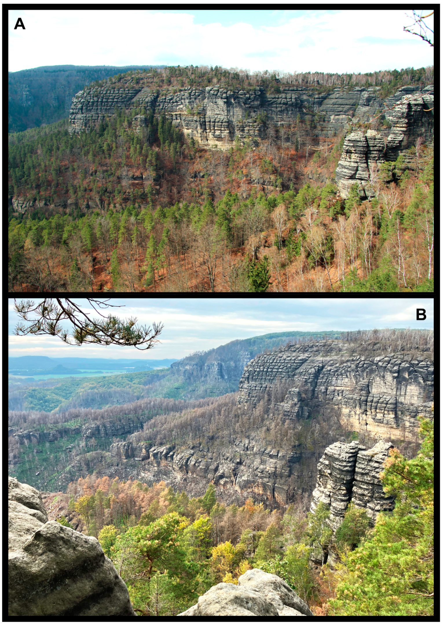 Geosciences 13 00383 g004 Geosciences 13 00383 g004