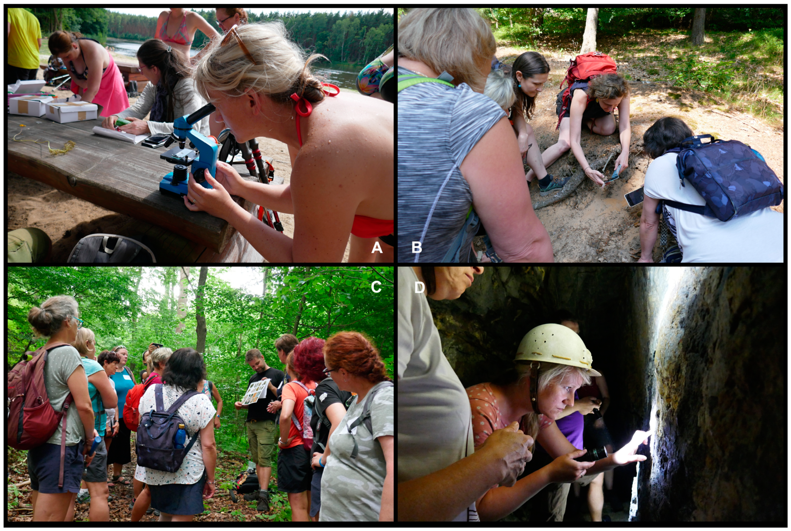 Geosciences 13 00383 g005 Geosciences 13 00383 g005