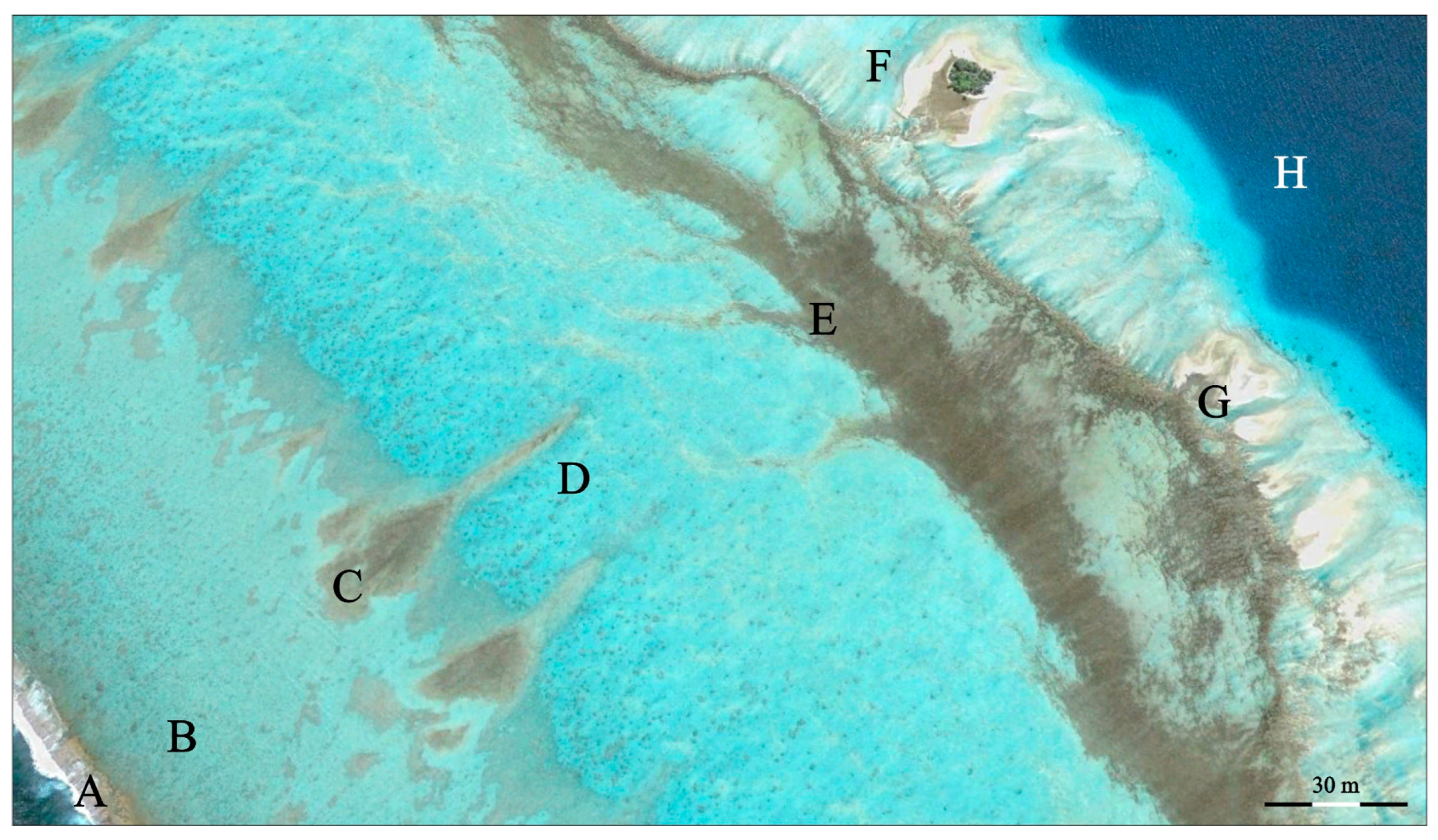 Geosciences 13 00389 g005