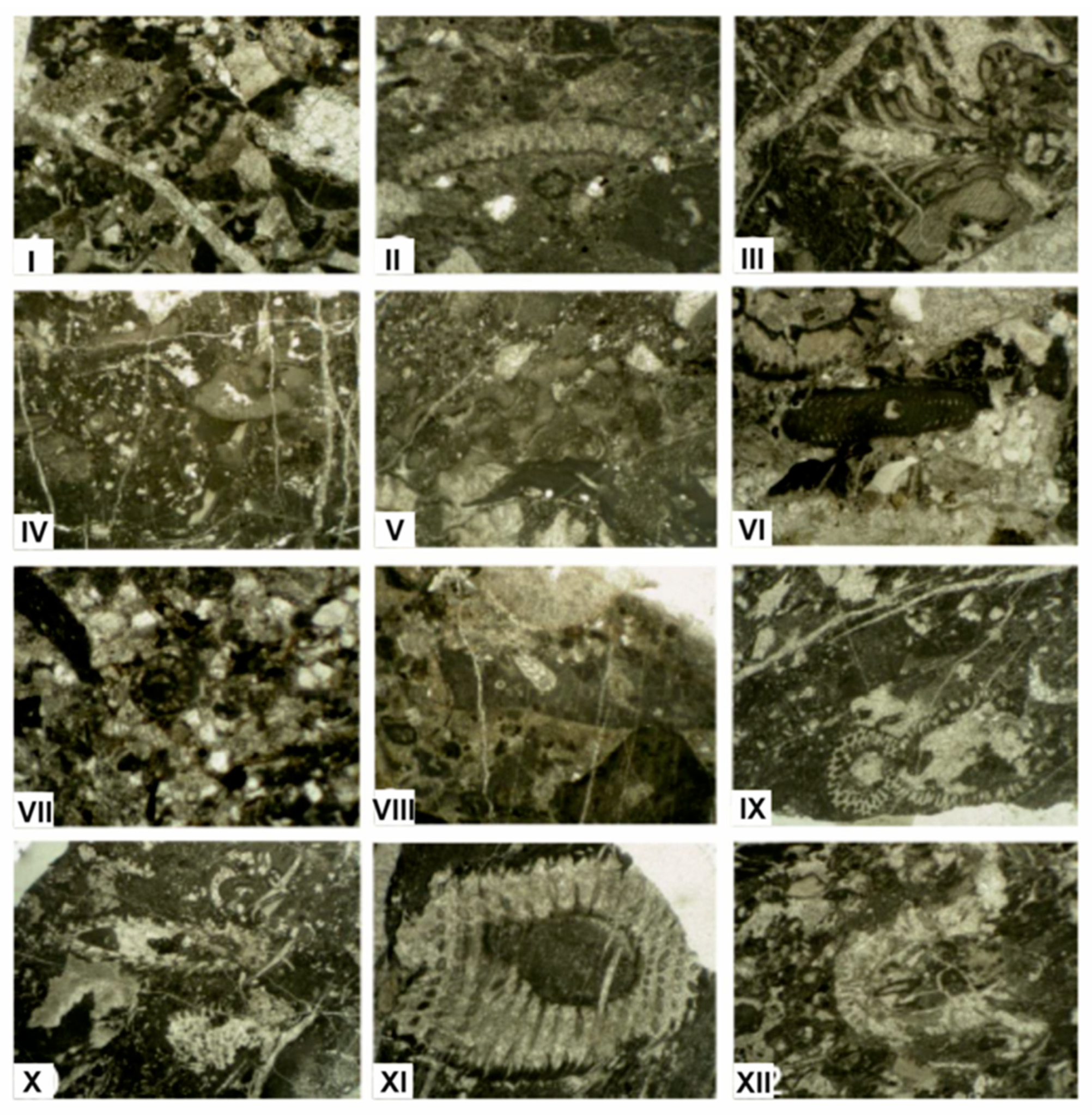 Geosciences 14 00010 g024 Geosciences 14 00010 g024