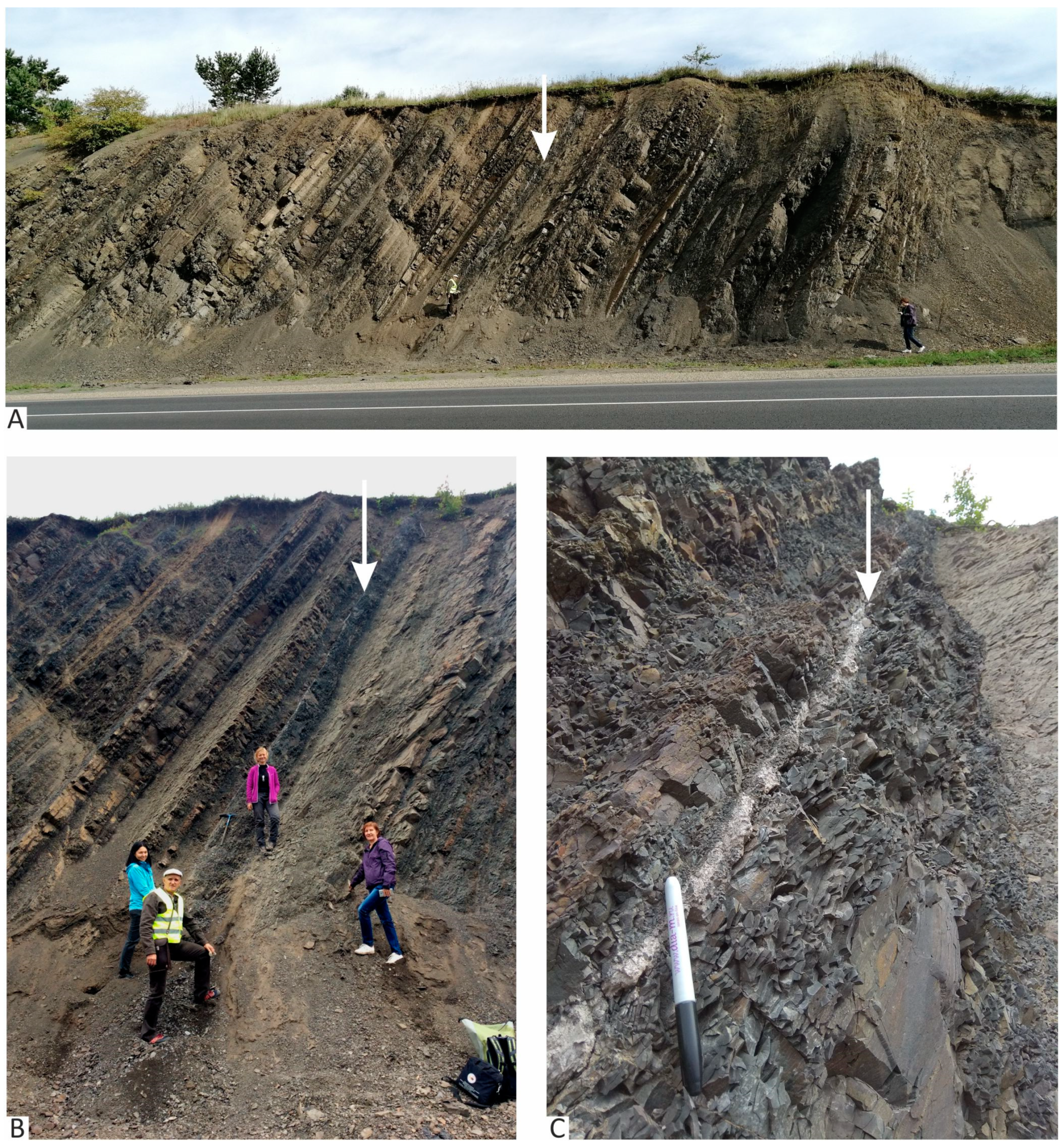 Geosciences 14 00021 g006