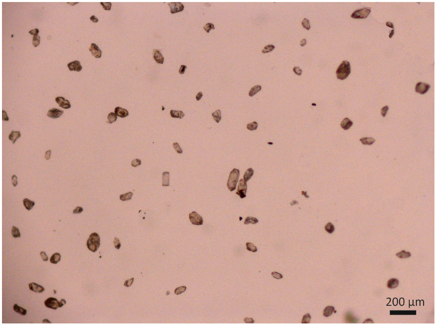 Geosciences 14 00021 g007