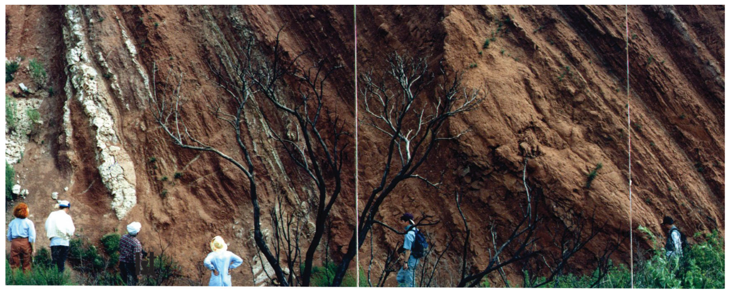 Geosciences 14 00023 g007