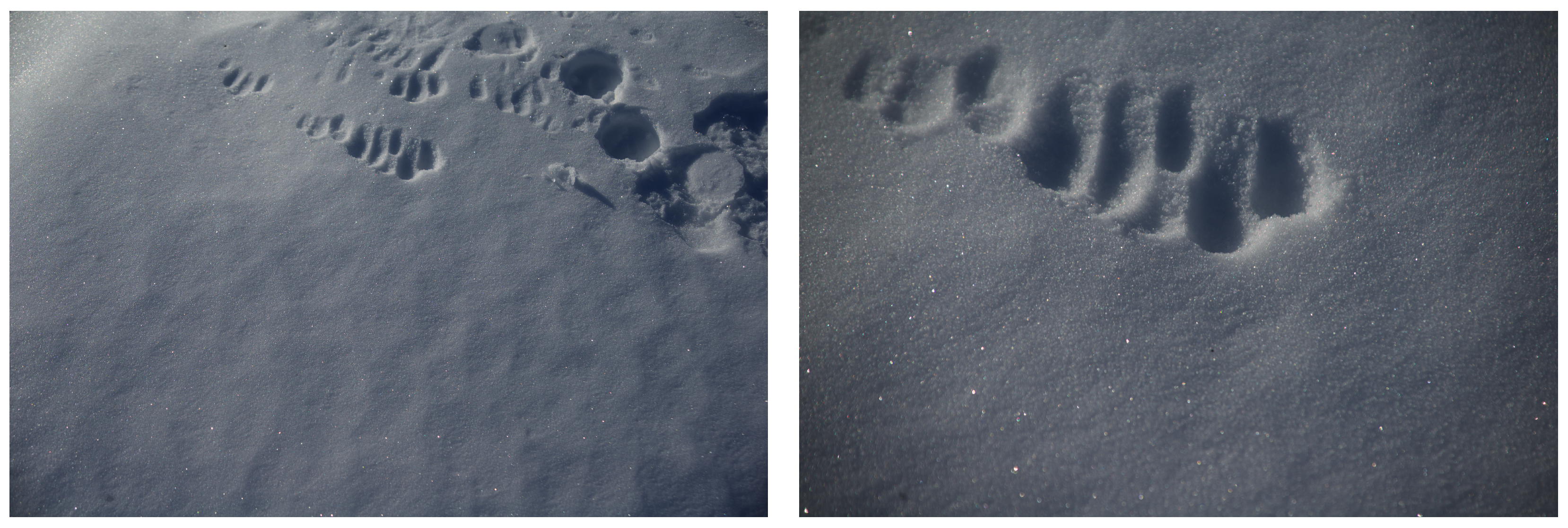 Geosciences 14 00035 g003