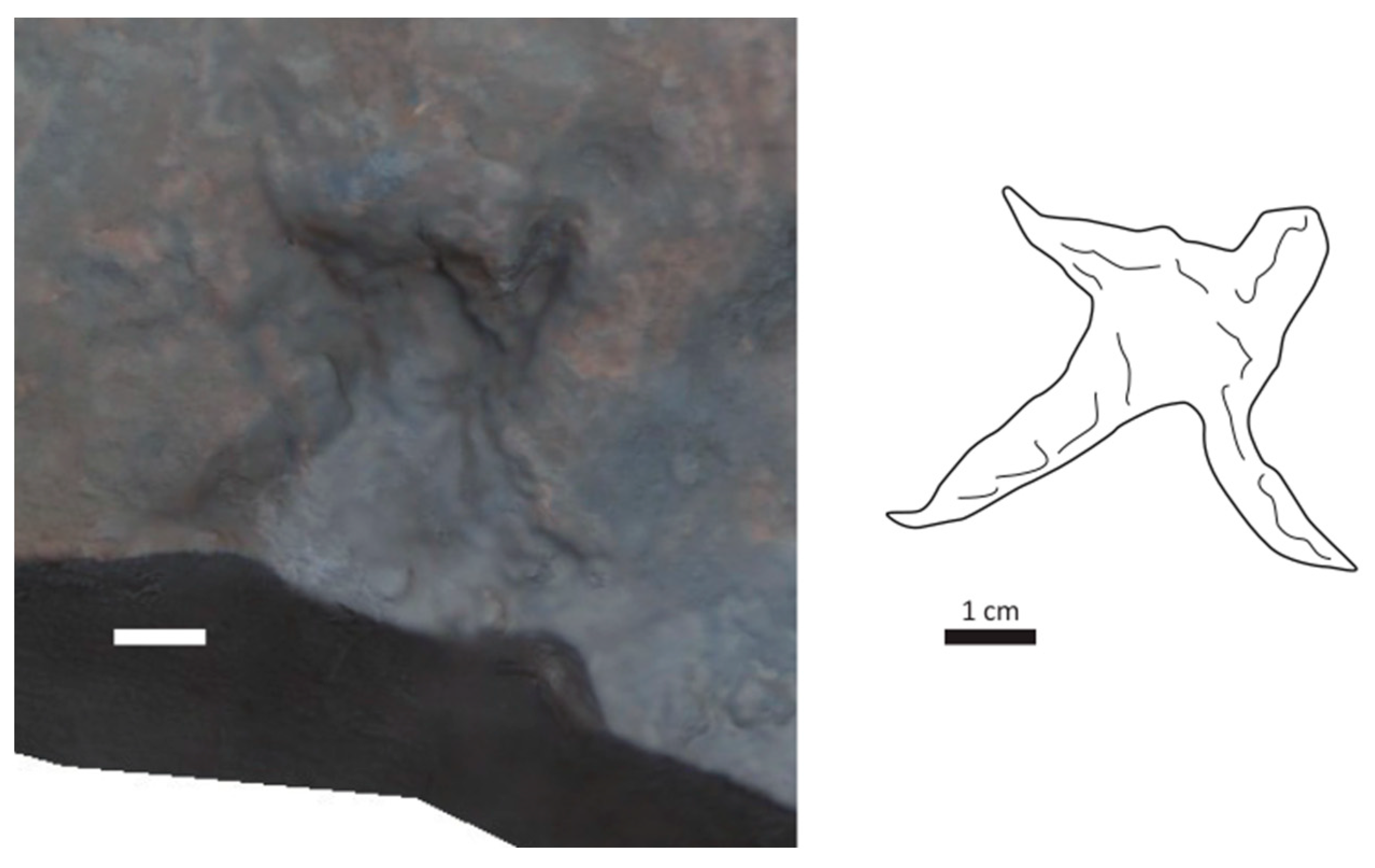 Geosciences 14 00036 g009