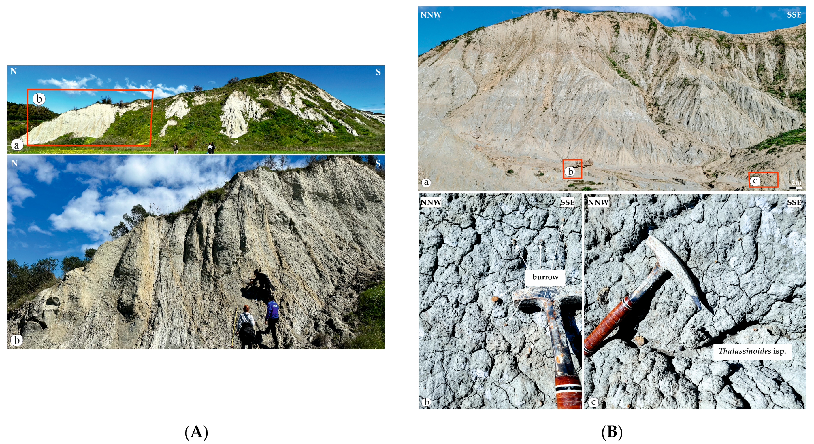 Geosciences 14 00048 g006