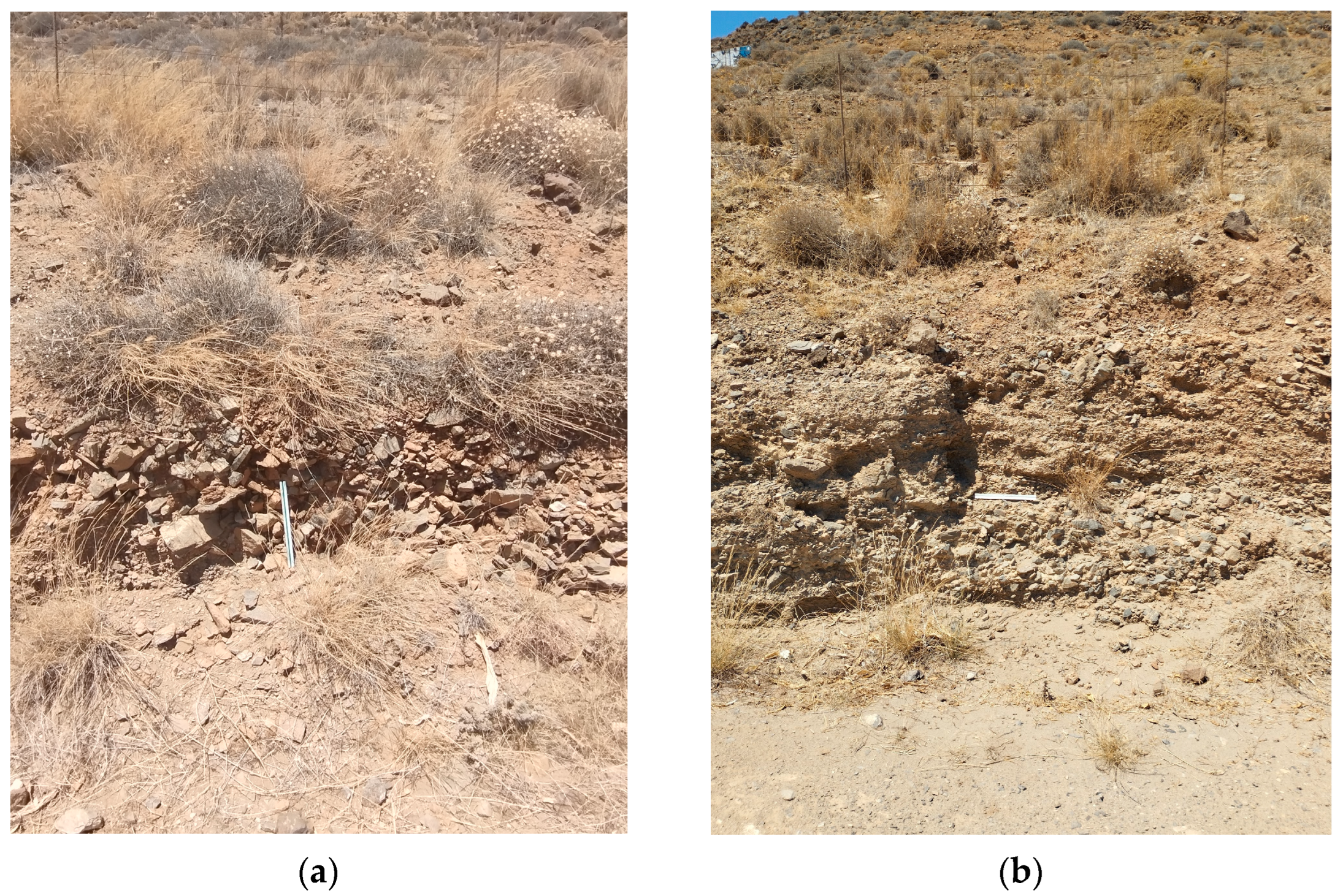 Geosciences 14 00056 g007