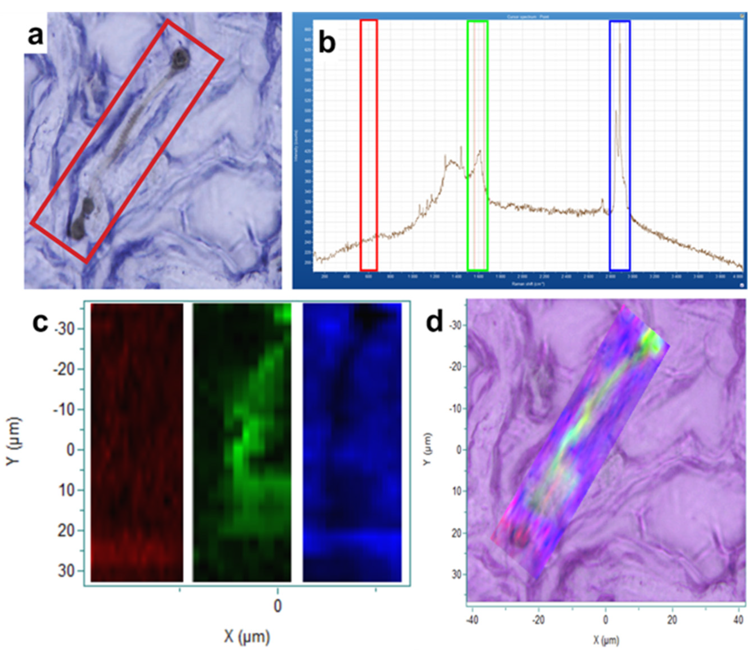 Geosciences 14 00058 g008