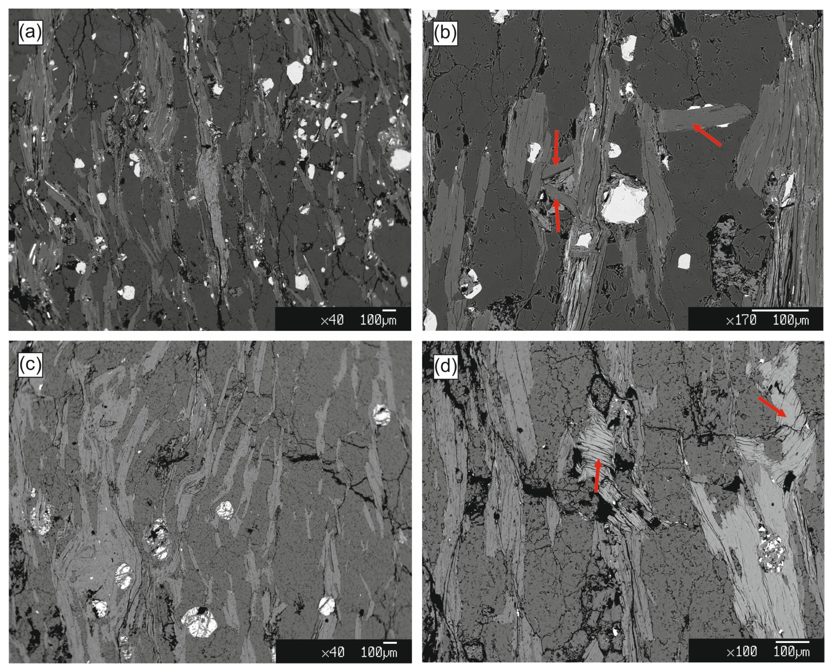 Geosciences 14 00069 g007