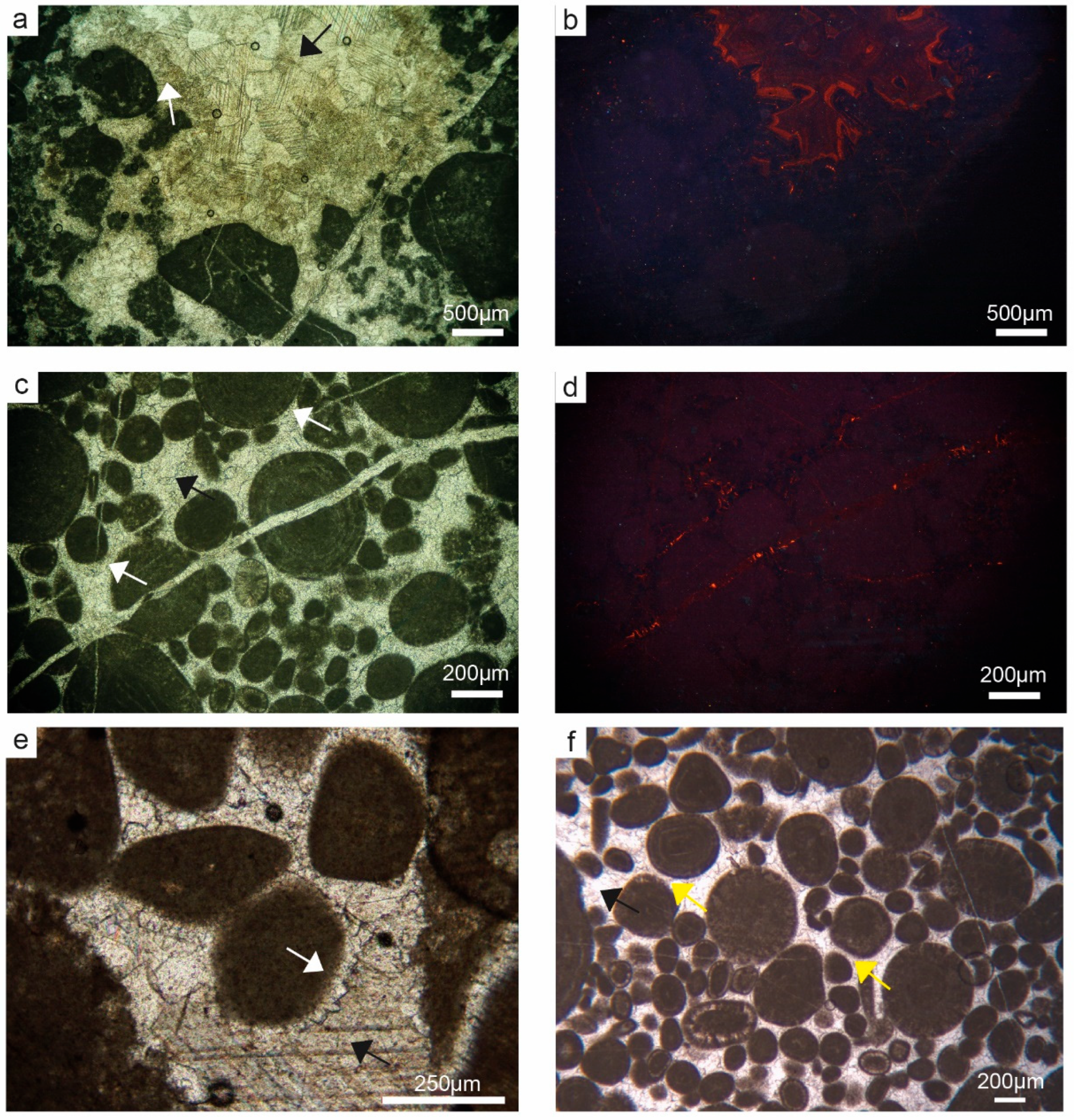 Geosciences 14 00089 g004