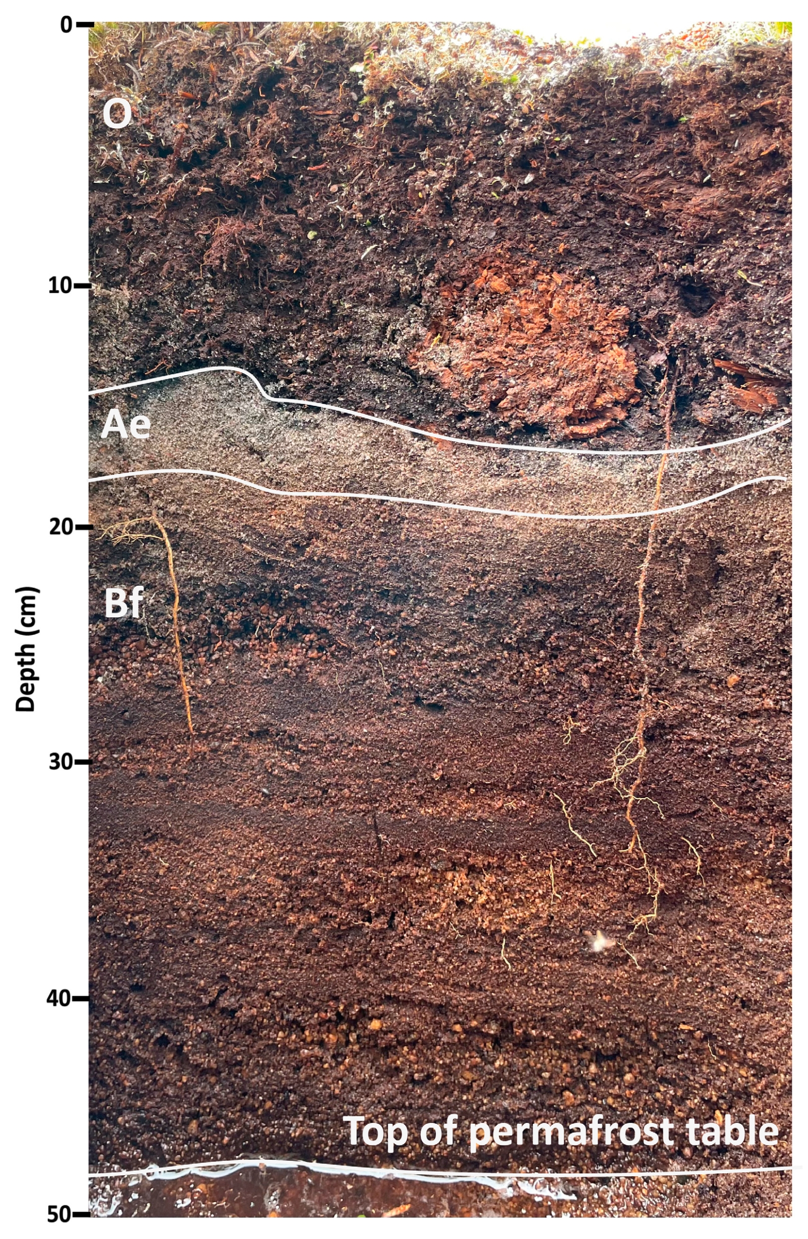 Geosciences 14 00095 g004