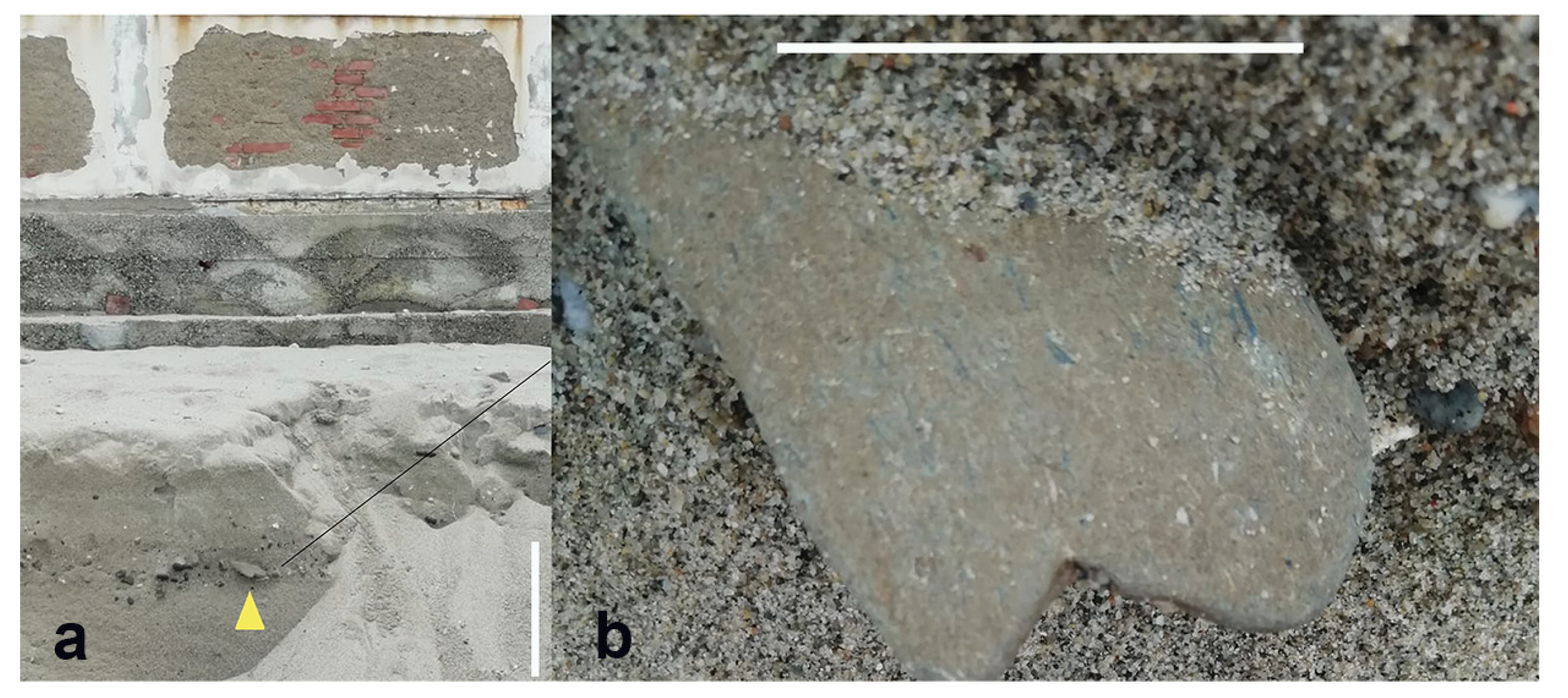 Geosciences 14 00098 g003