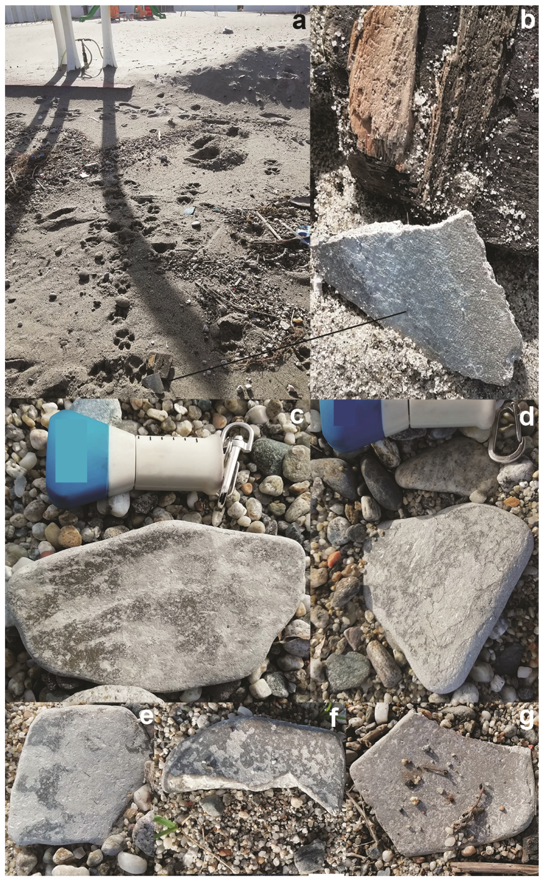 Geosciences 14 00098 g005