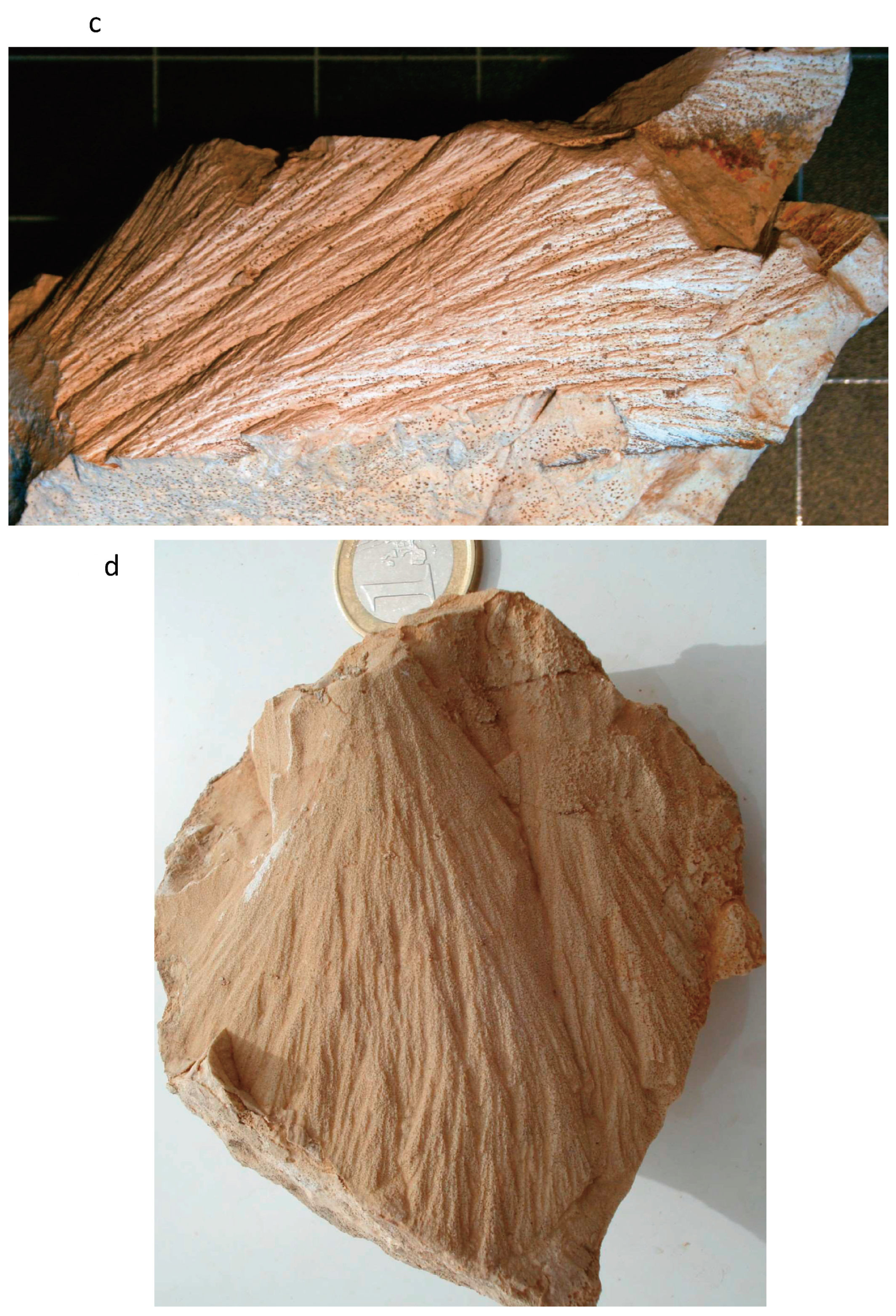 Geosciences 14 00105 g001b