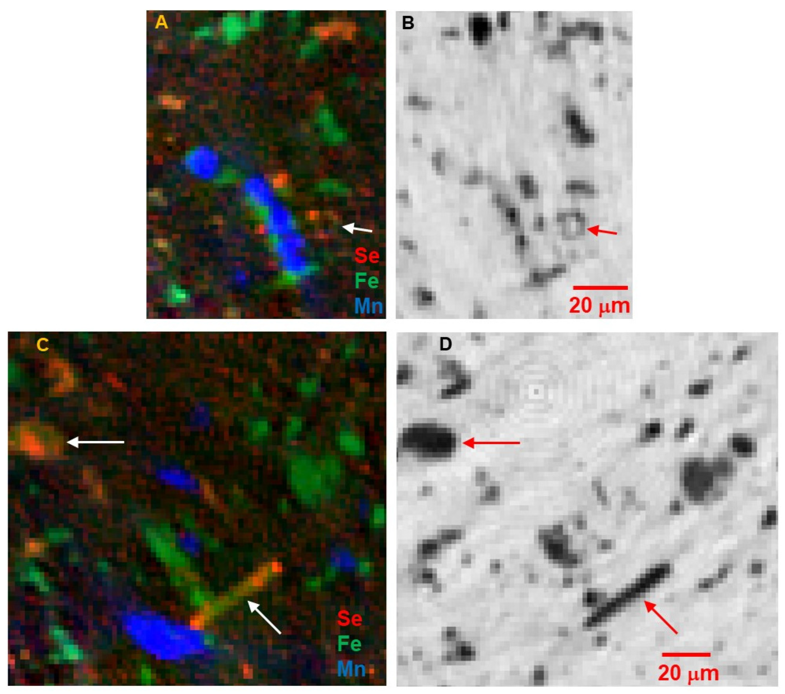 Geosciences 14 00111 g004