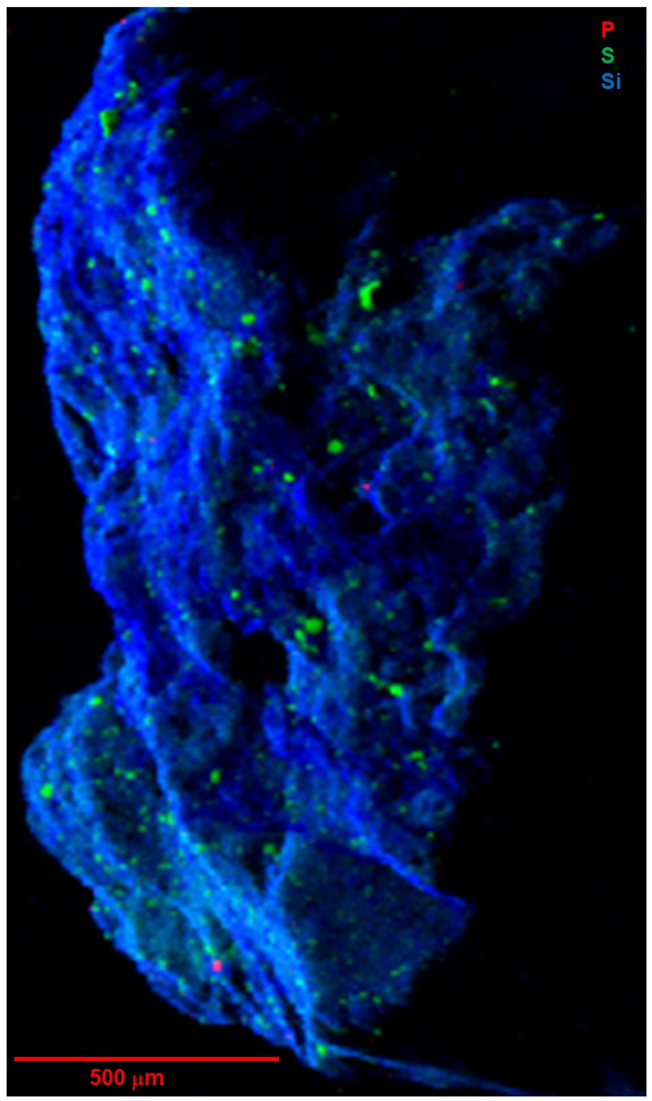 Geosciences 14 00111 g007