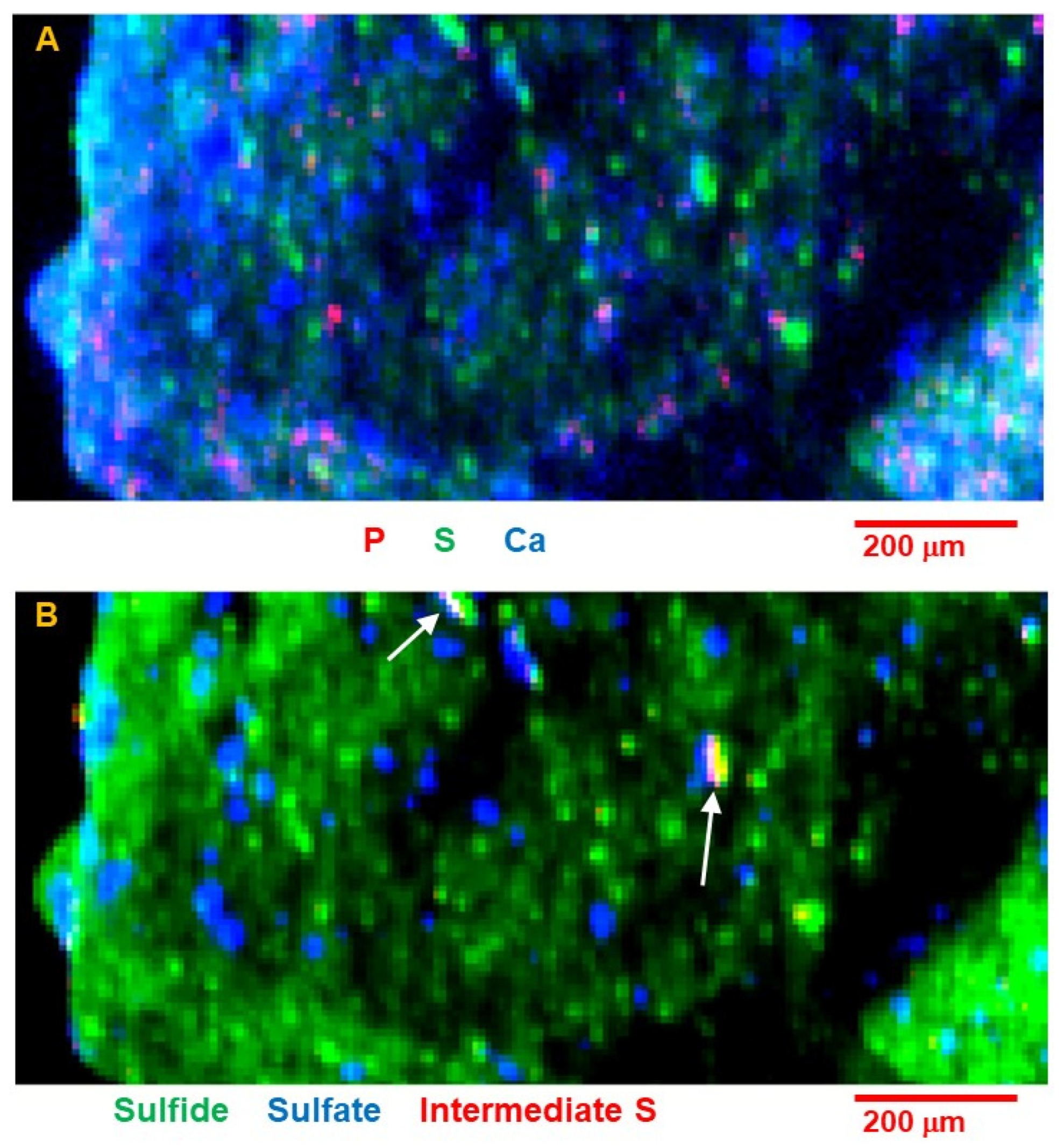 Geosciences 14 00111 g012