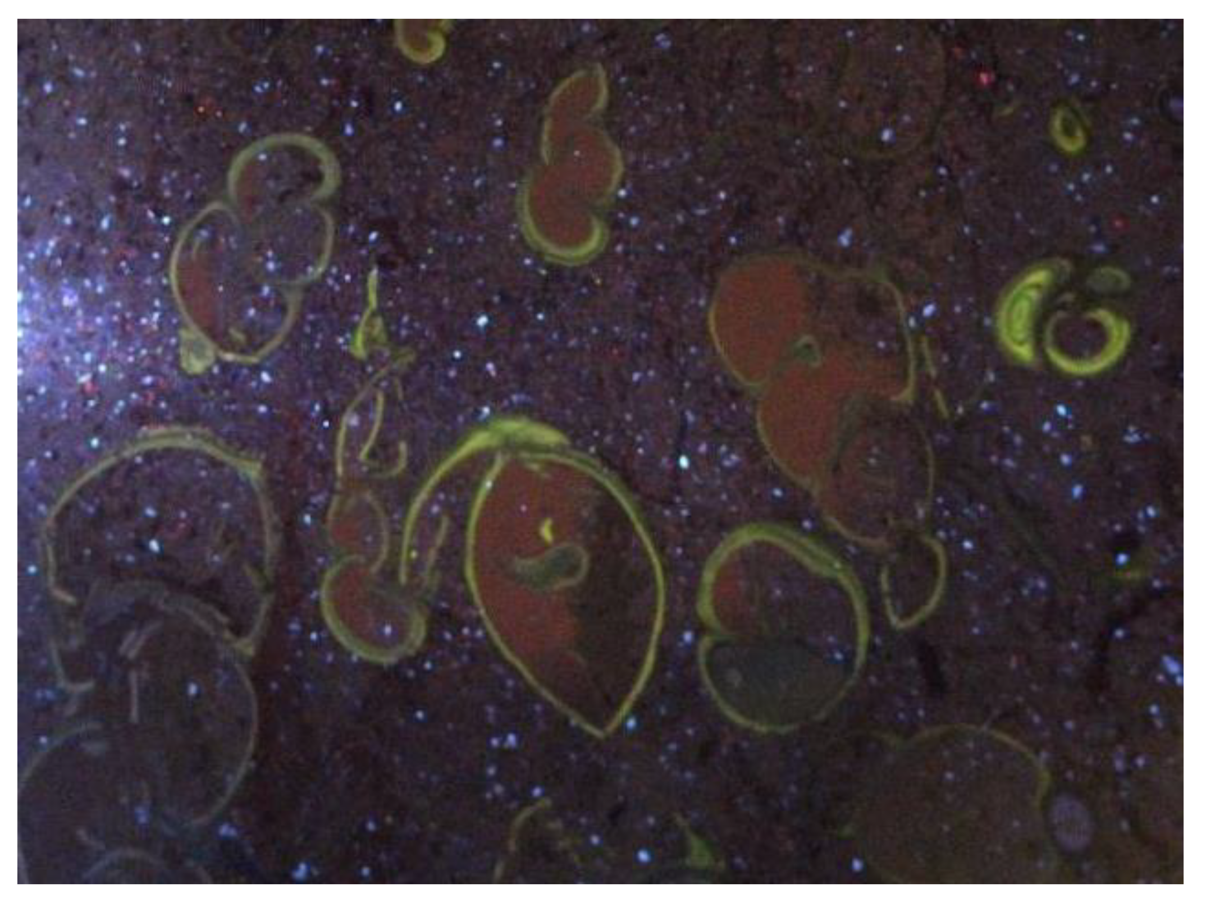 Geosciences 14 00120 g004