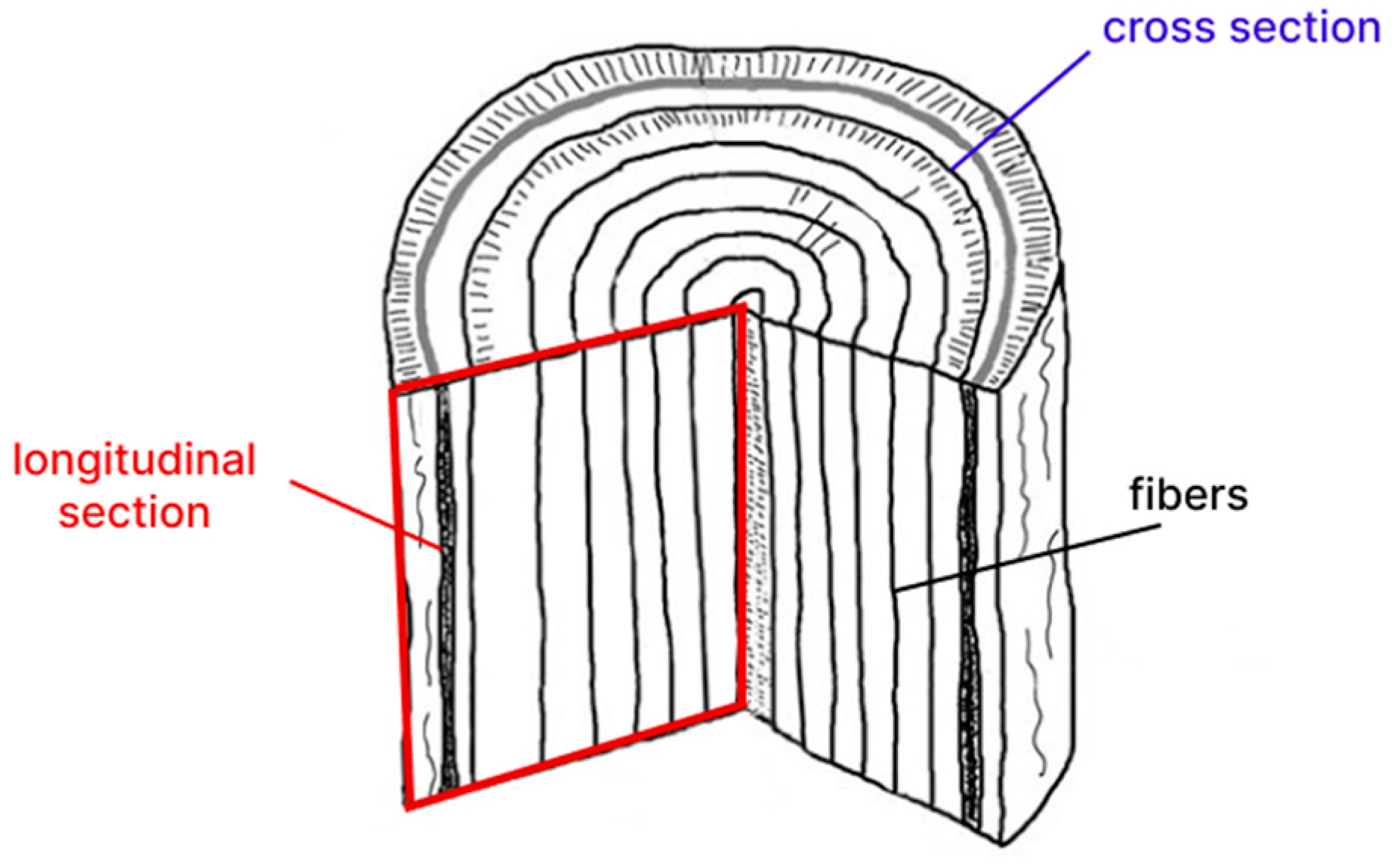 Geosciences 14 00129 g002
