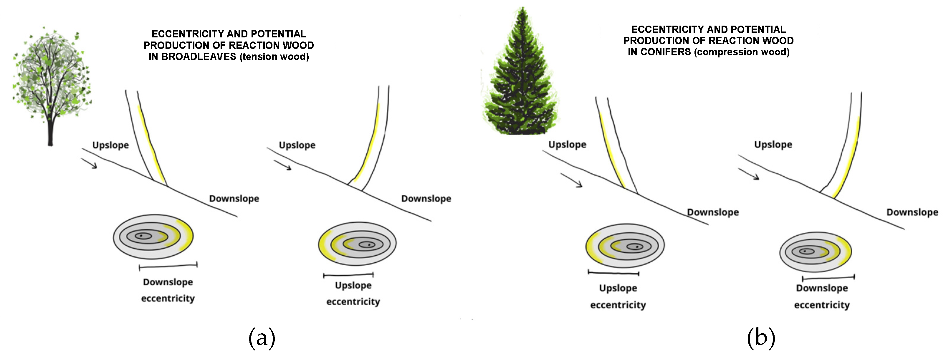 Geosciences 14 00129 g015