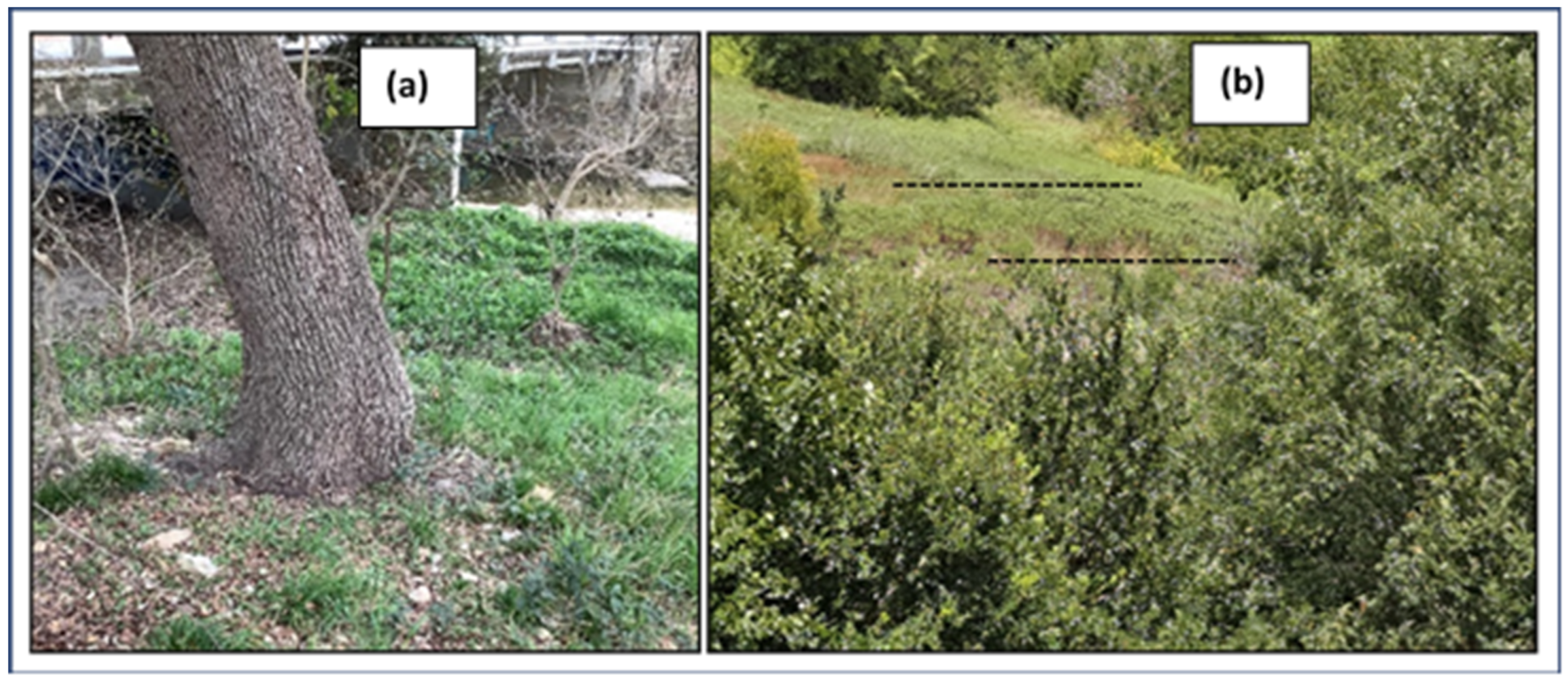 Geosciences 14 00133 g009