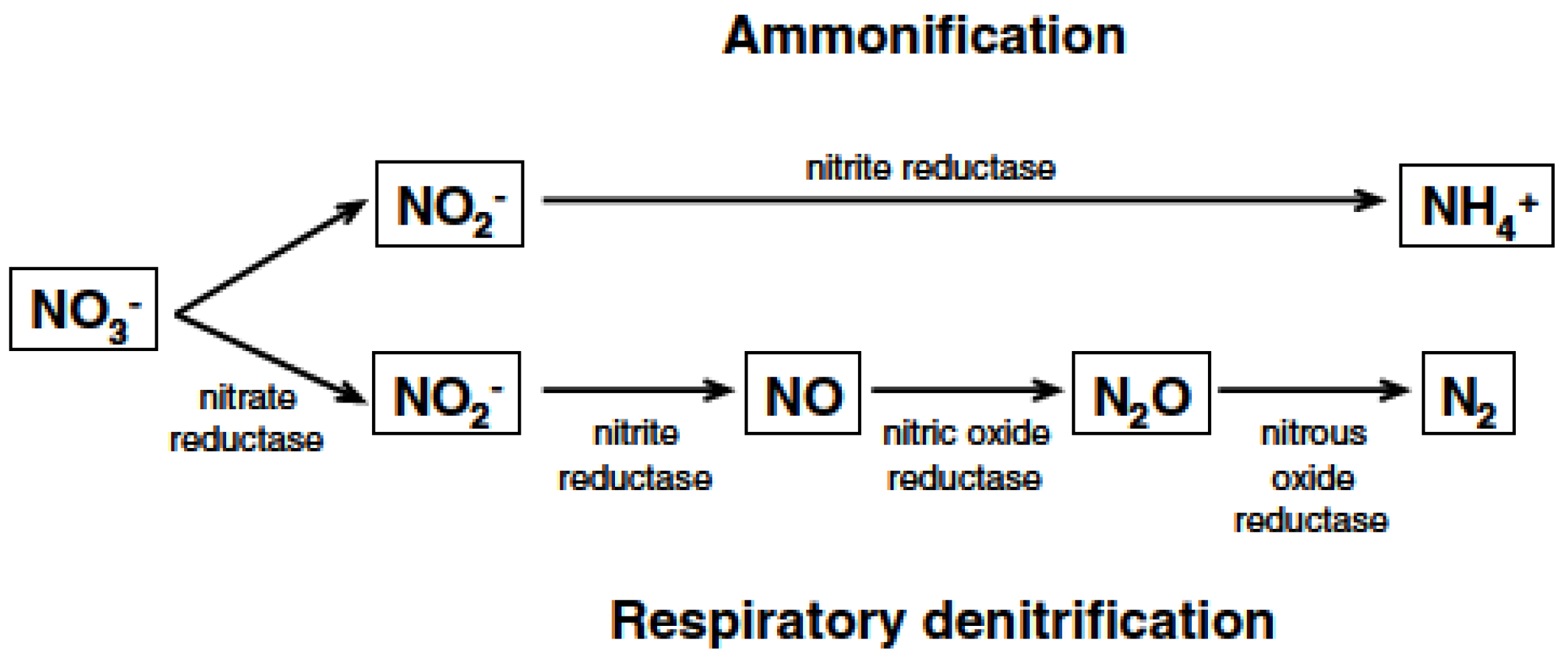 Geosciences 14 00140 g007