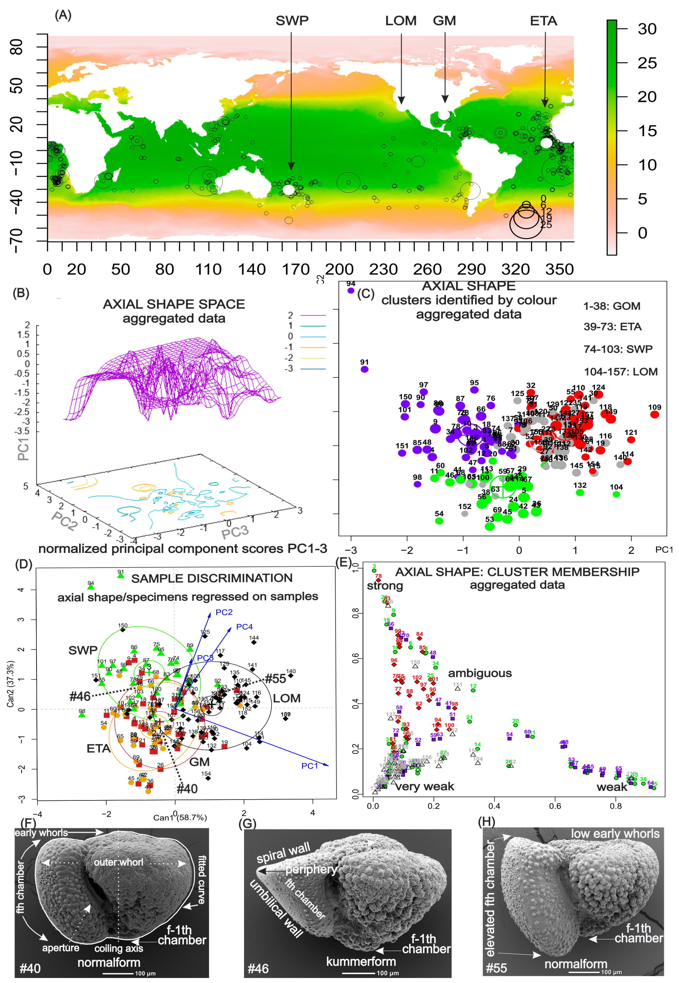 Geosciences 14 00169 g001