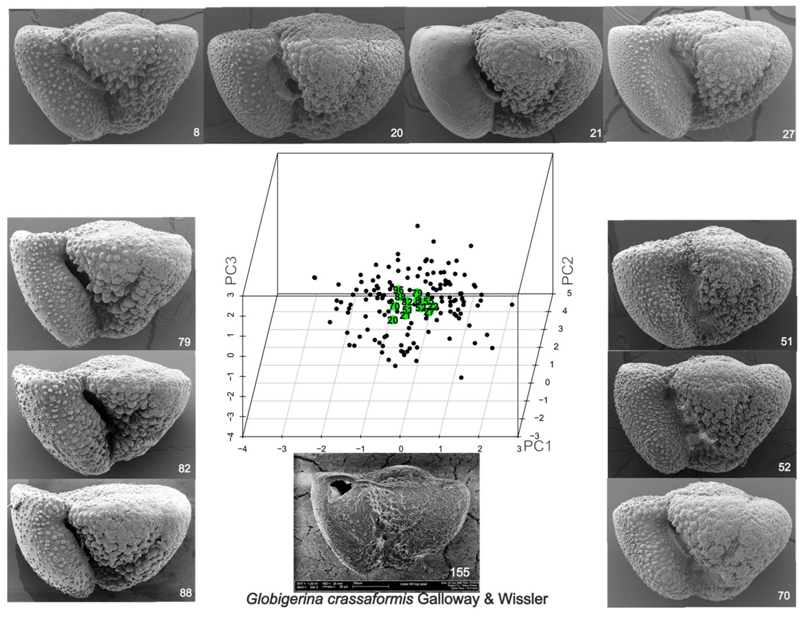 Geosciences 14 00169 g002