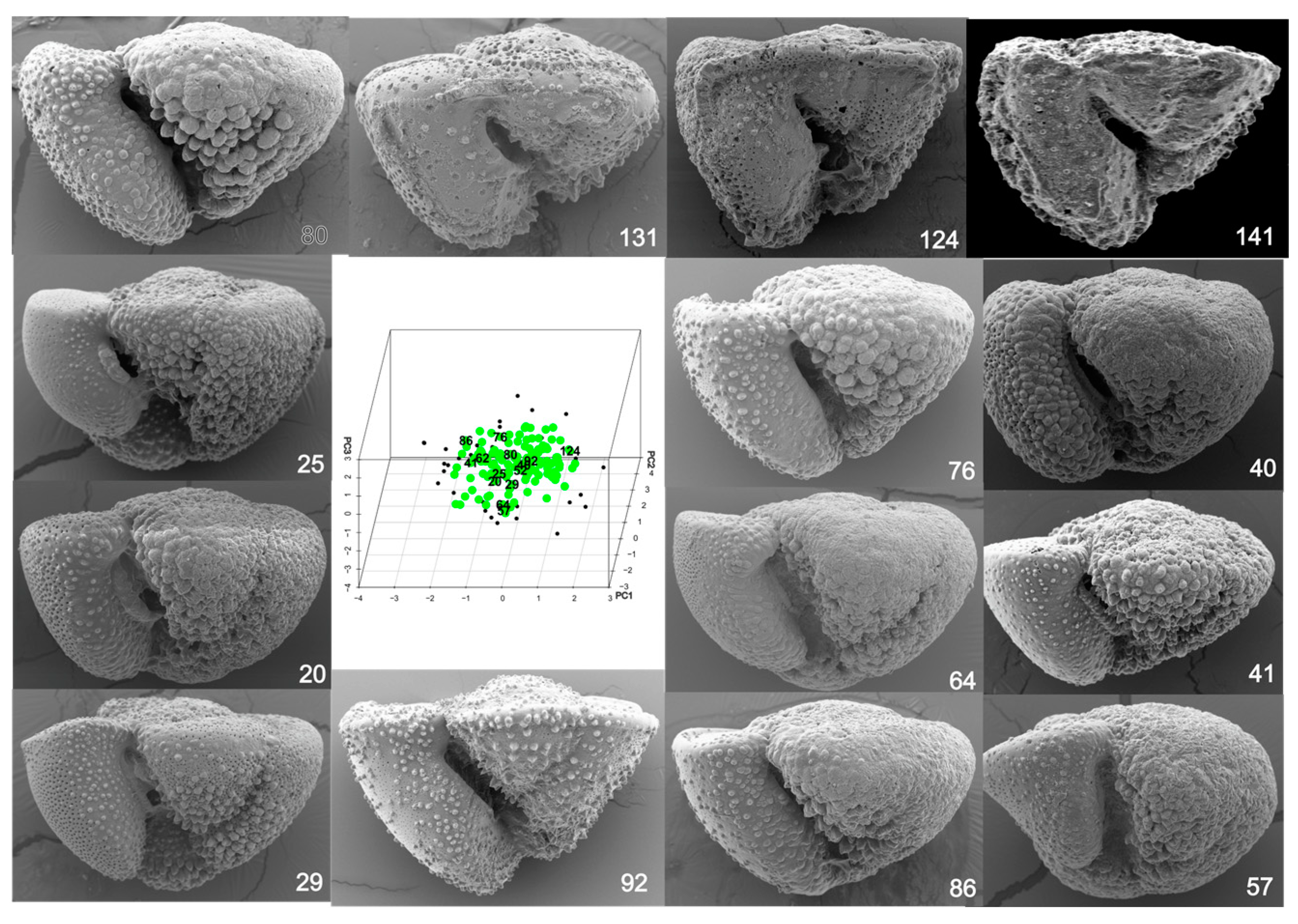 Geosciences 14 00169 g003