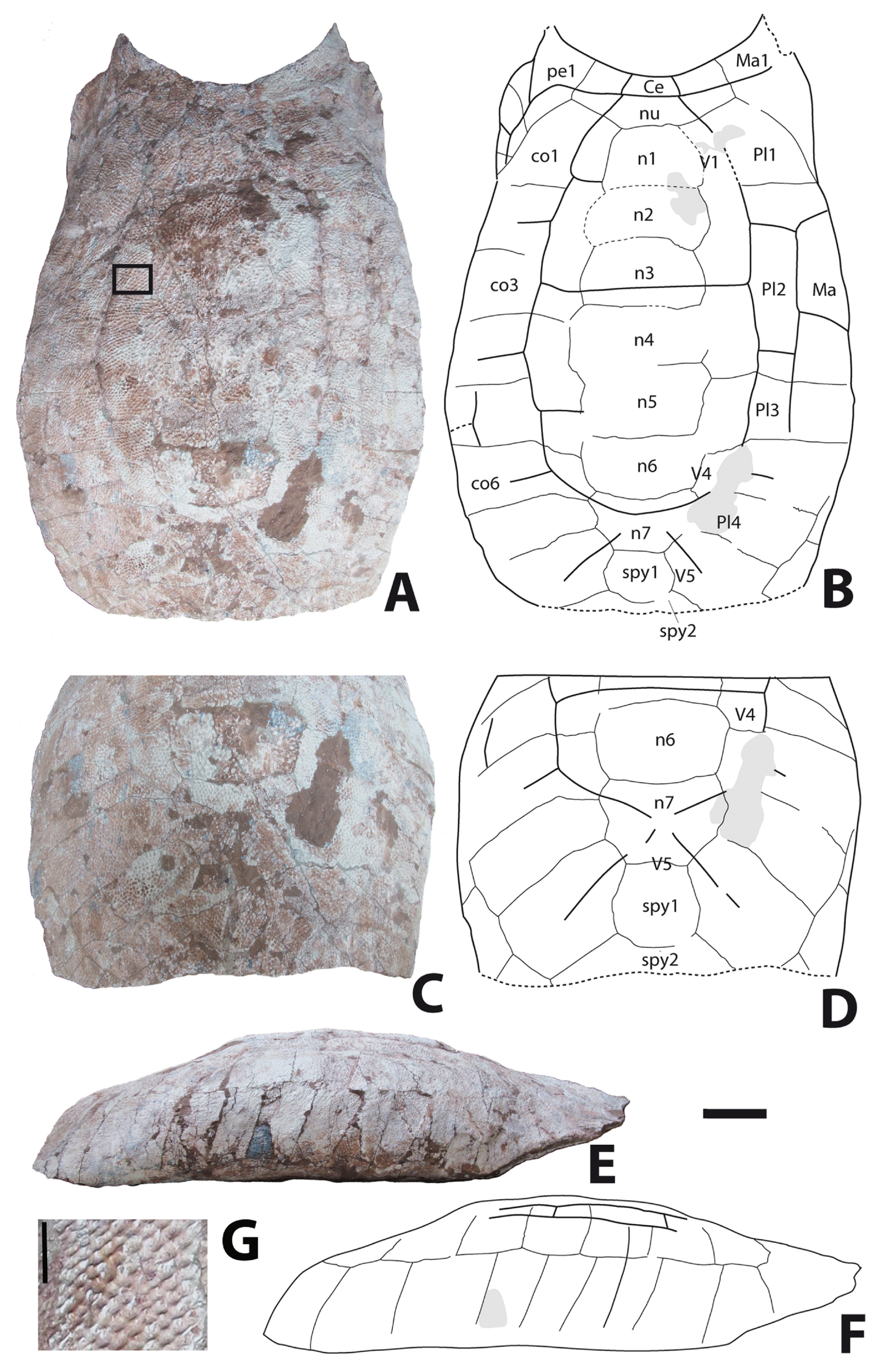 Geosciences 14 00184 g002 Geosciences 14 00184 g002