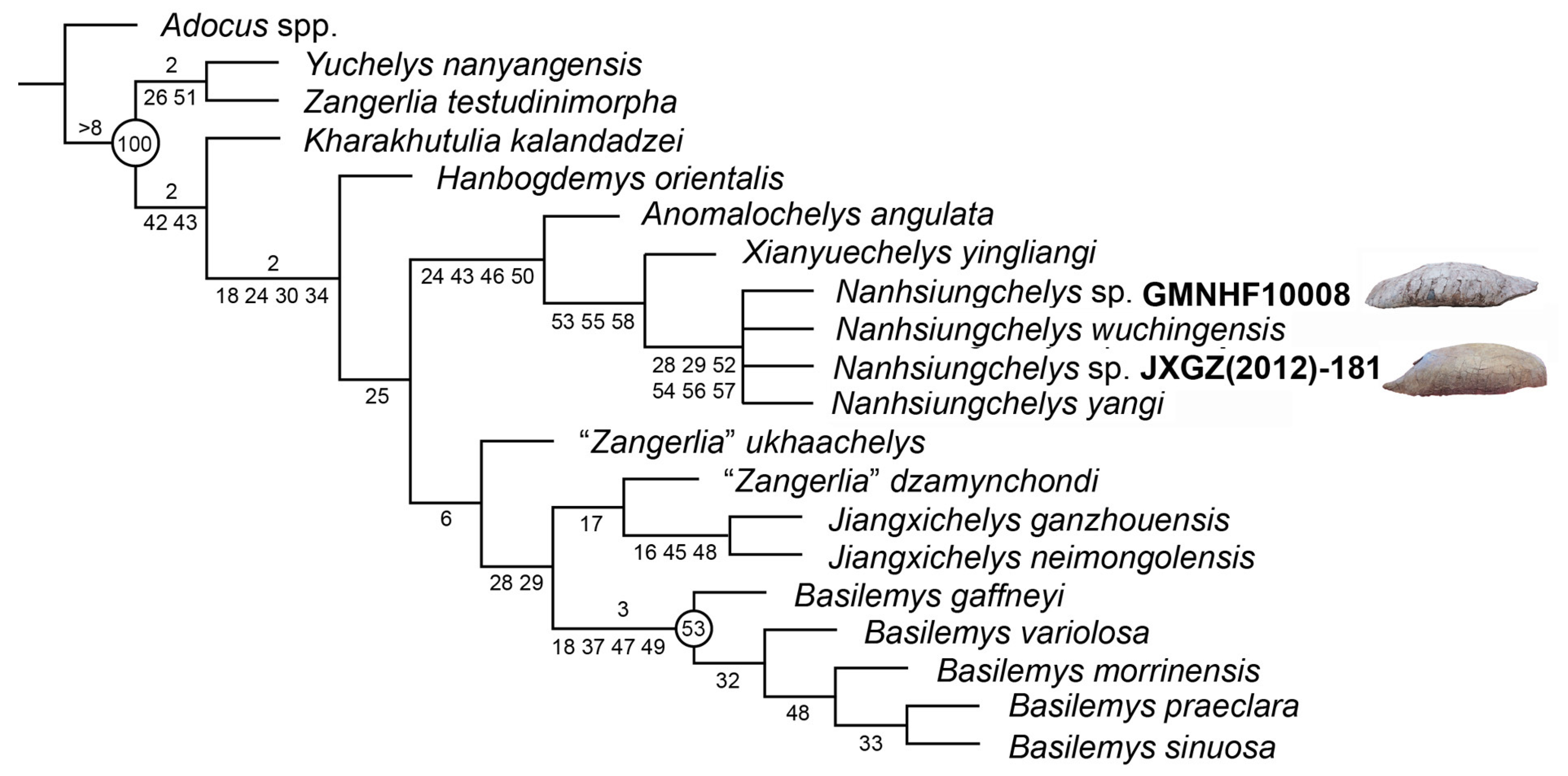 Geosciences 14 00184 g003 Geosciences 14 00184 g003