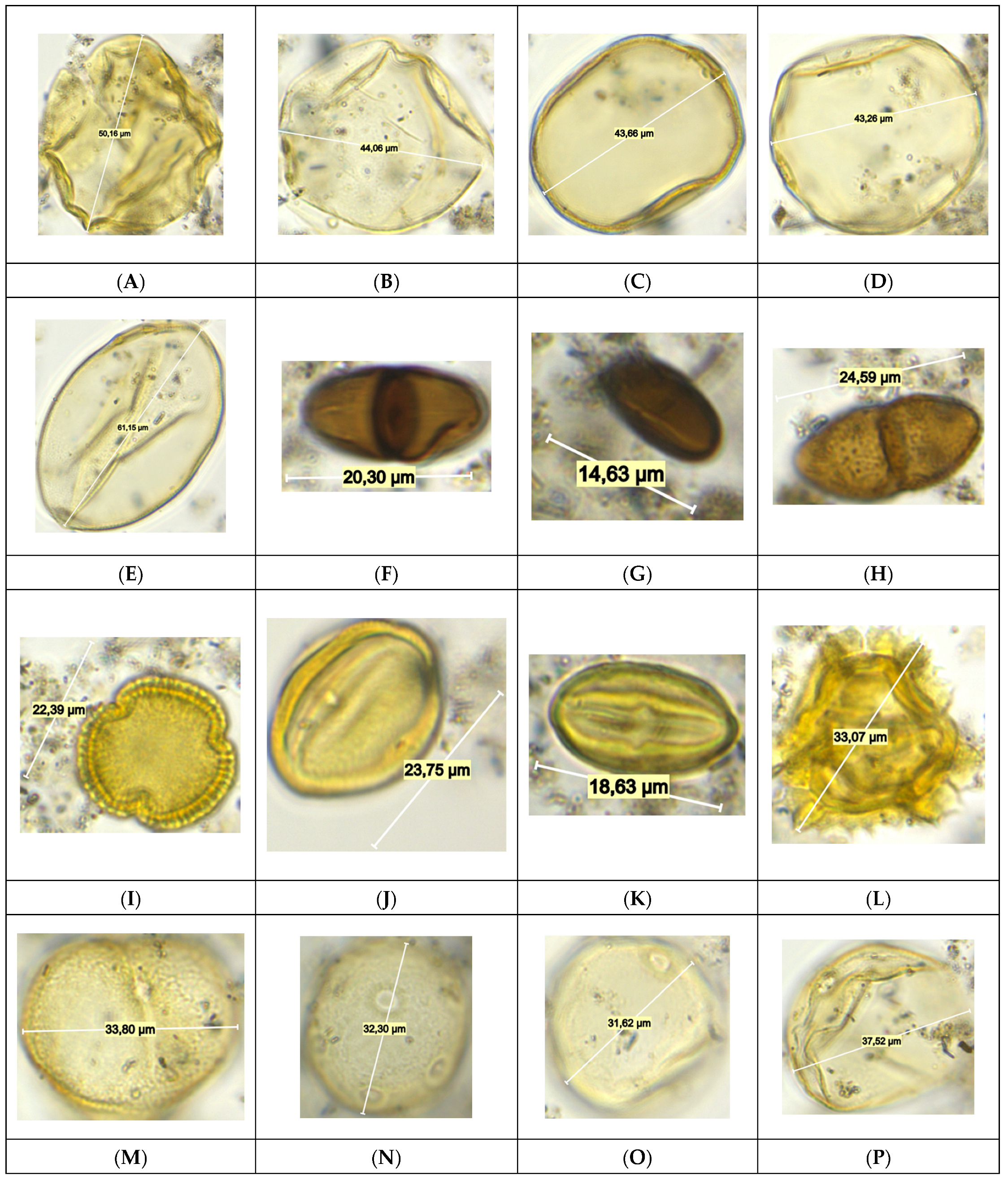 Geosciences 14 00211 g011 Geosciences 14 00211 g011