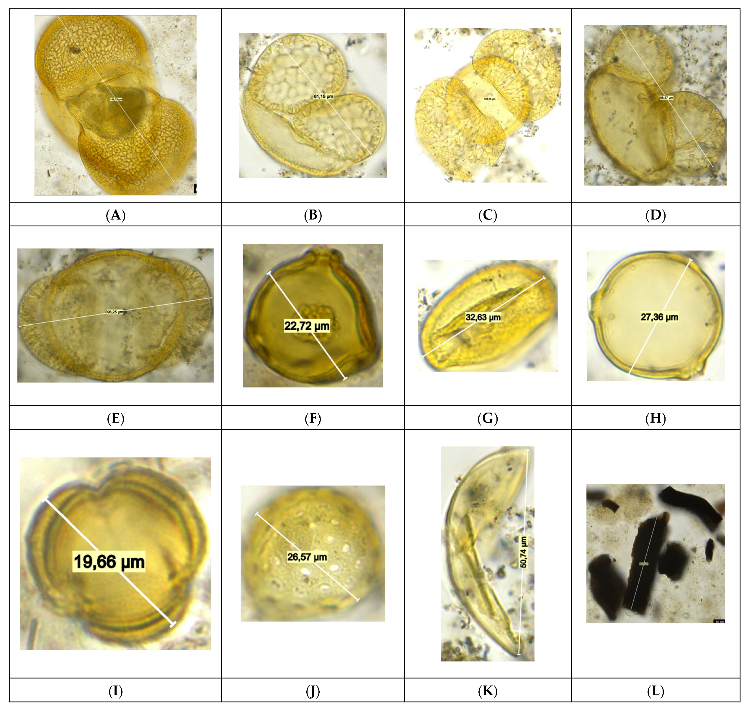 Geosciences 14 00211 g012 Geosciences 14 00211 g012