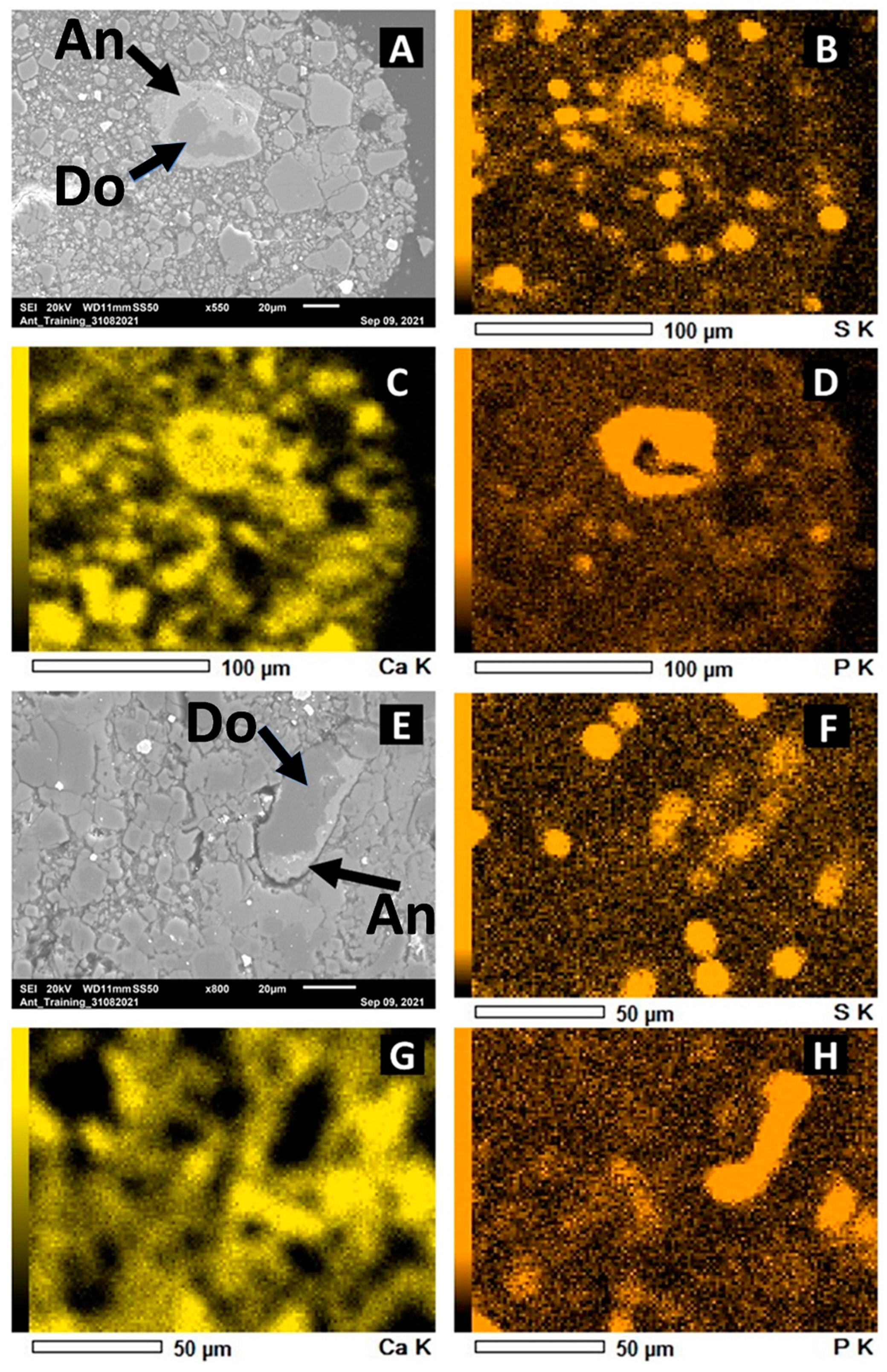 Geosciences 14 00224 g010