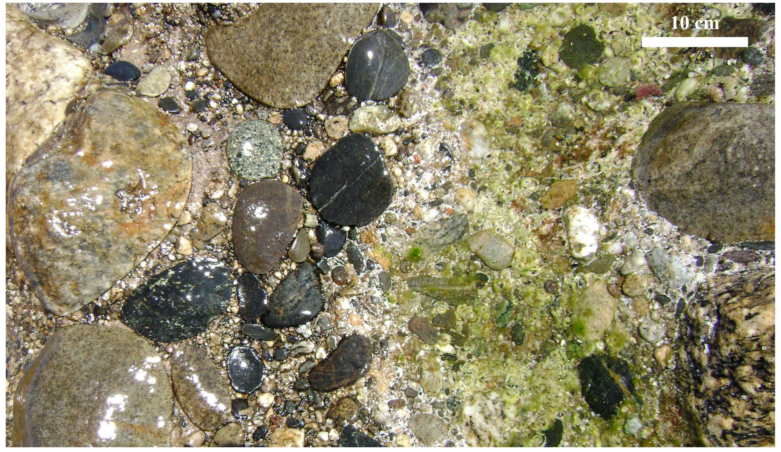 Geosciences 14 00236 g005