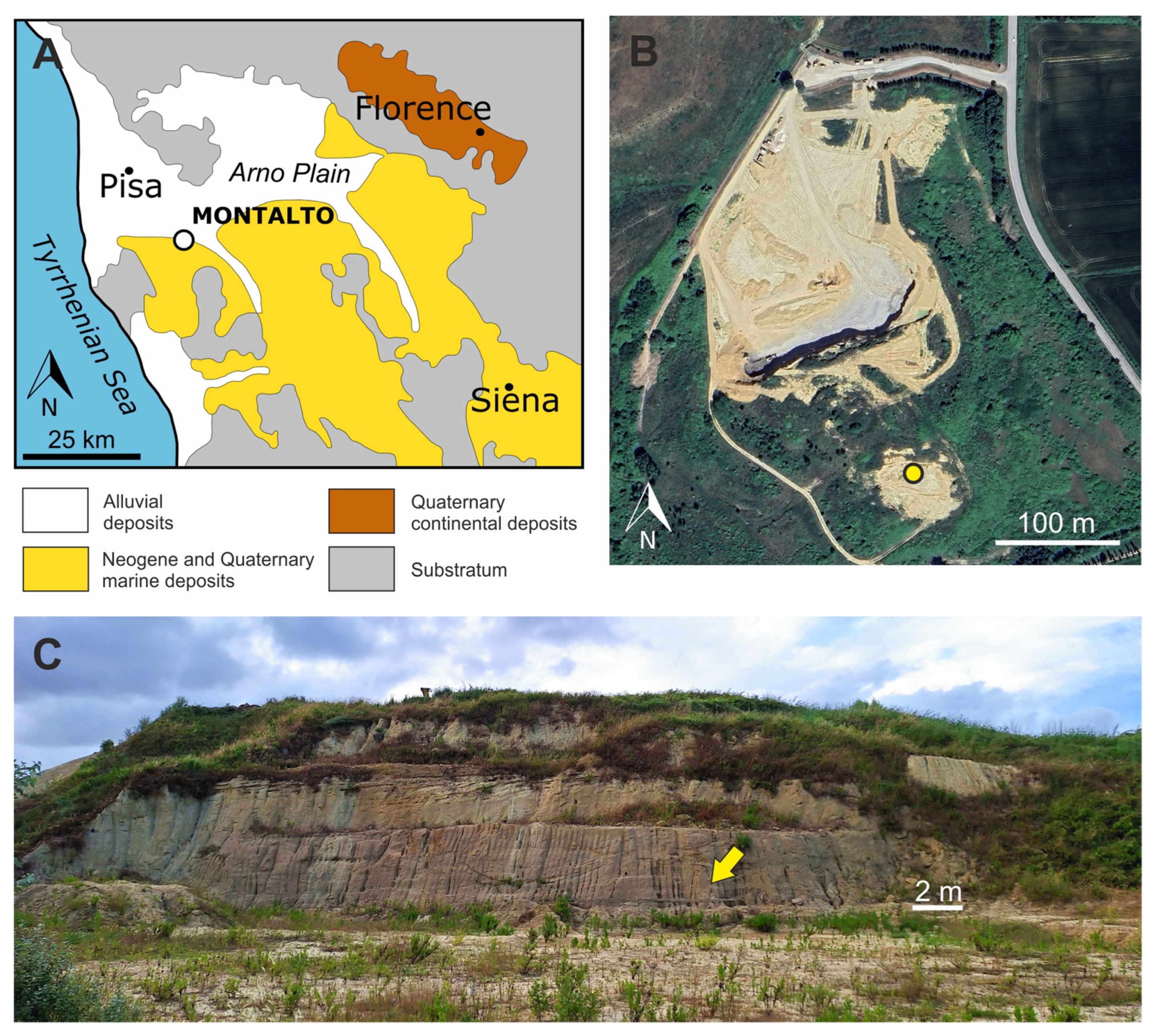 Geosciences 14 00239 g001