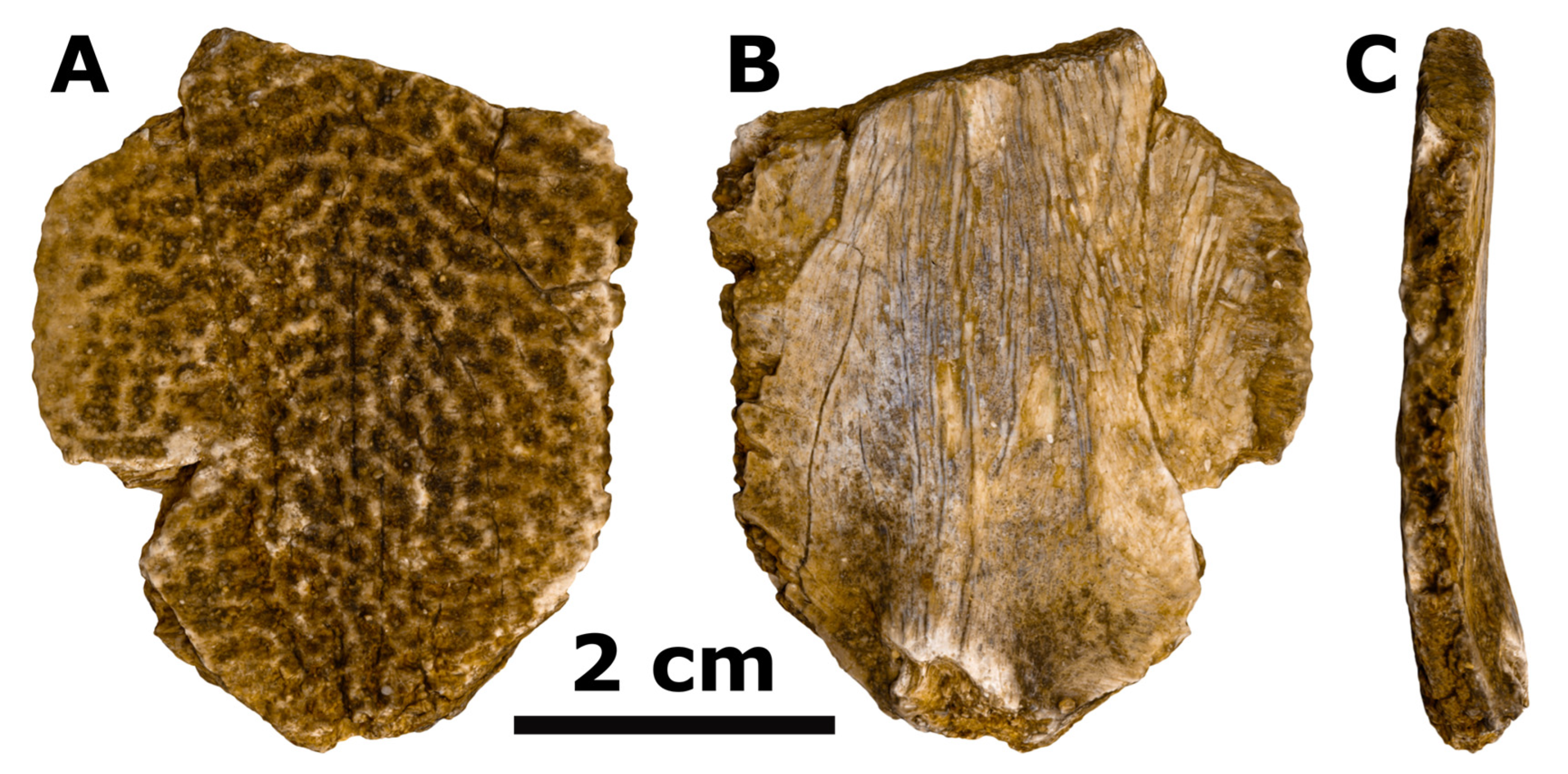Geosciences 14 00239 g002