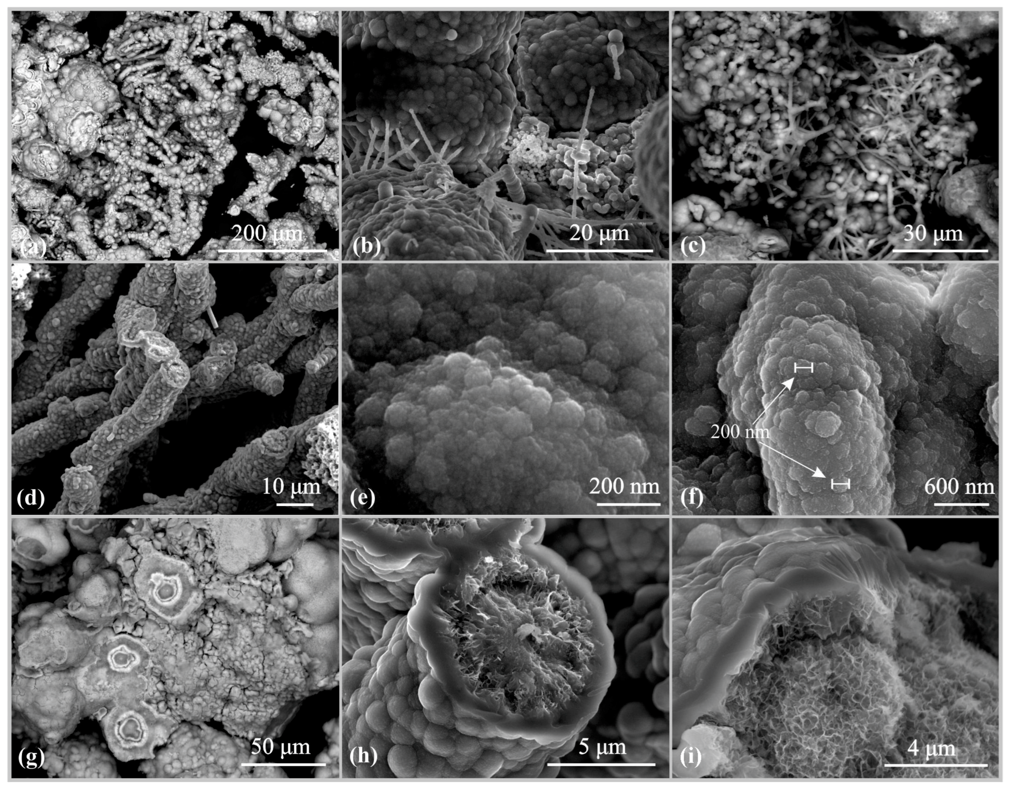 Geosciences 14 00240 g003 Geosciences 14 00240 g003