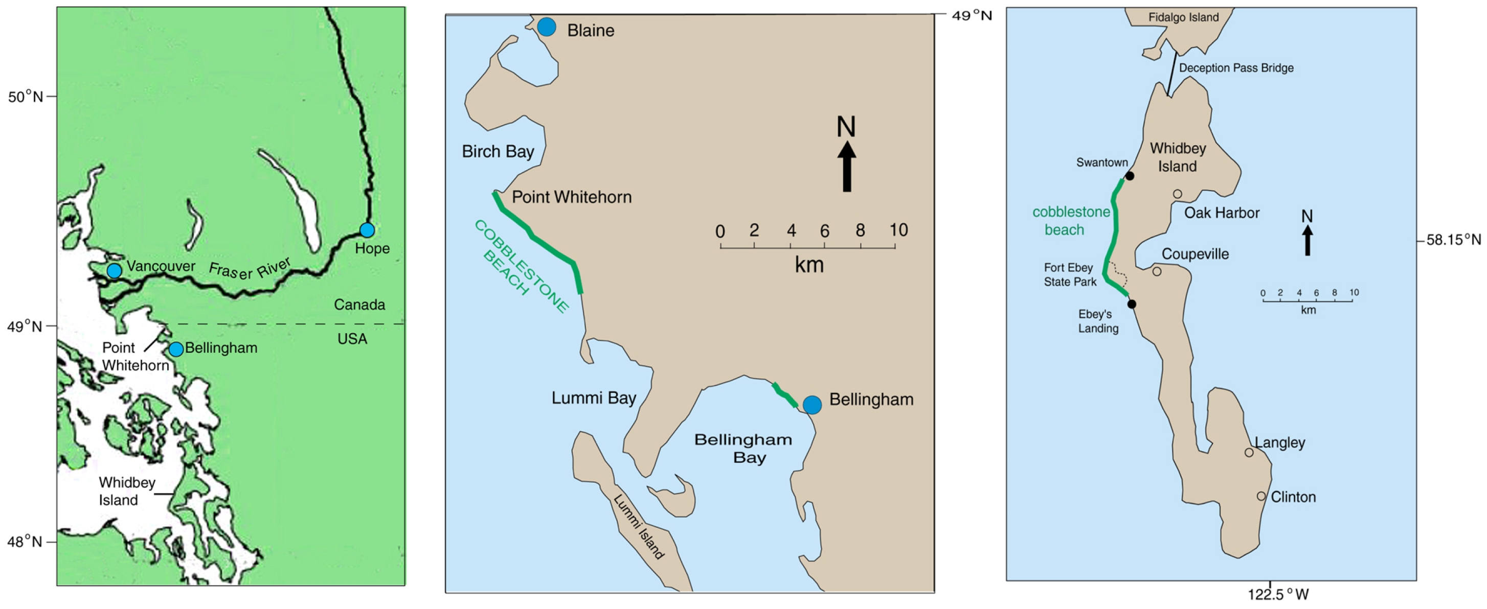 Geosciences 14 00242 g004