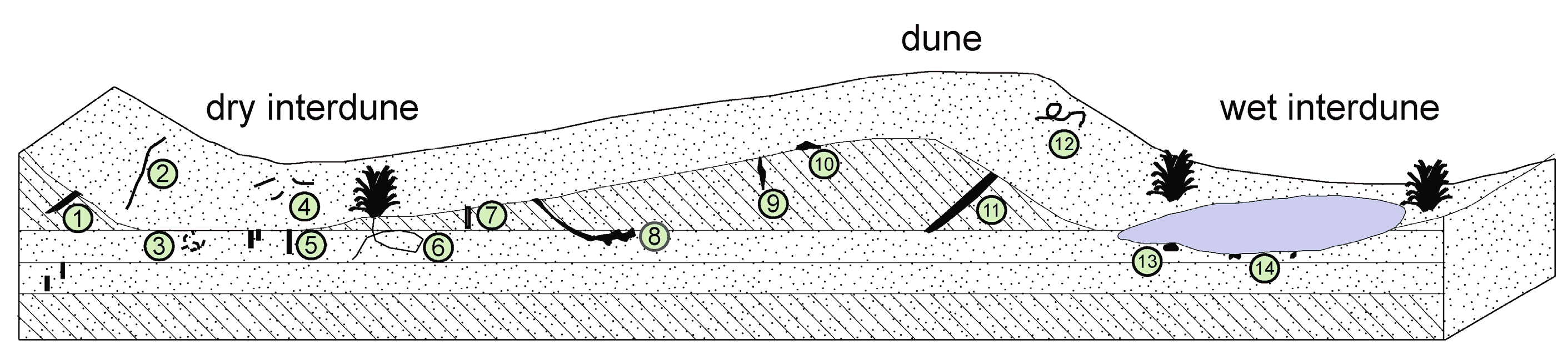 Geosciences 14 00246 g002